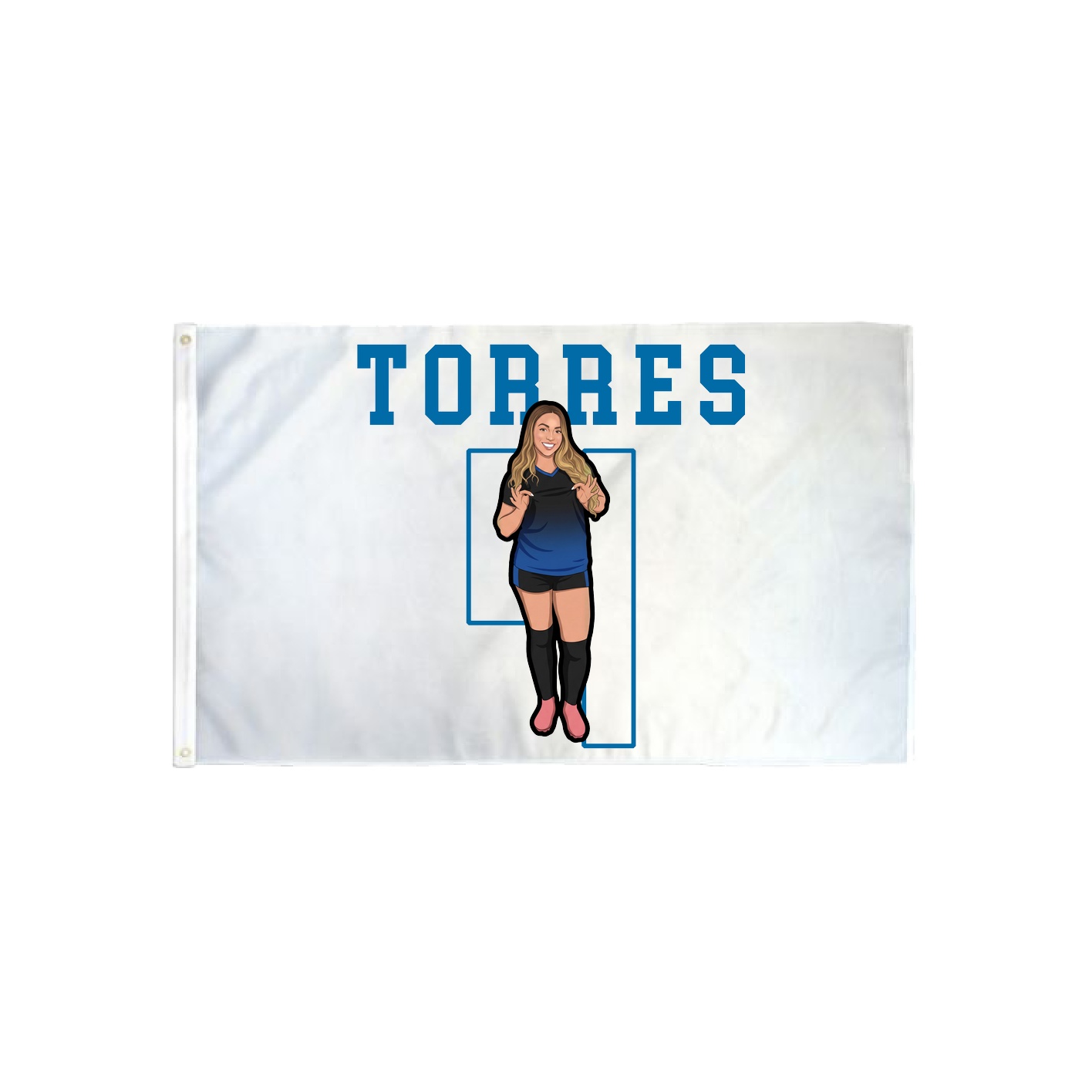 3x5 Flag — Shirsey in Classic