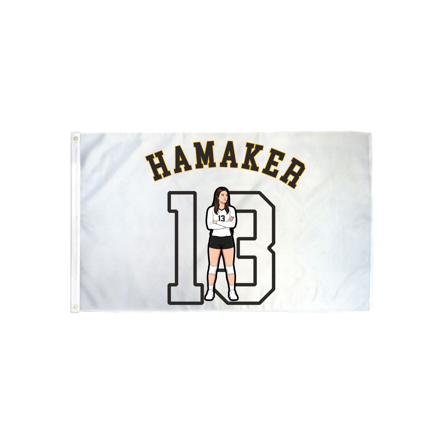 3x5 Flag — Shirsey Arch in Classic