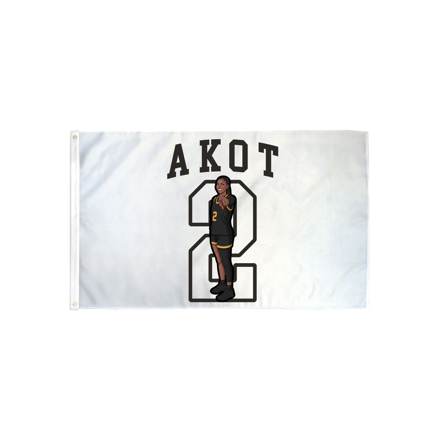3x5 Flag — Shirsey in Classic
