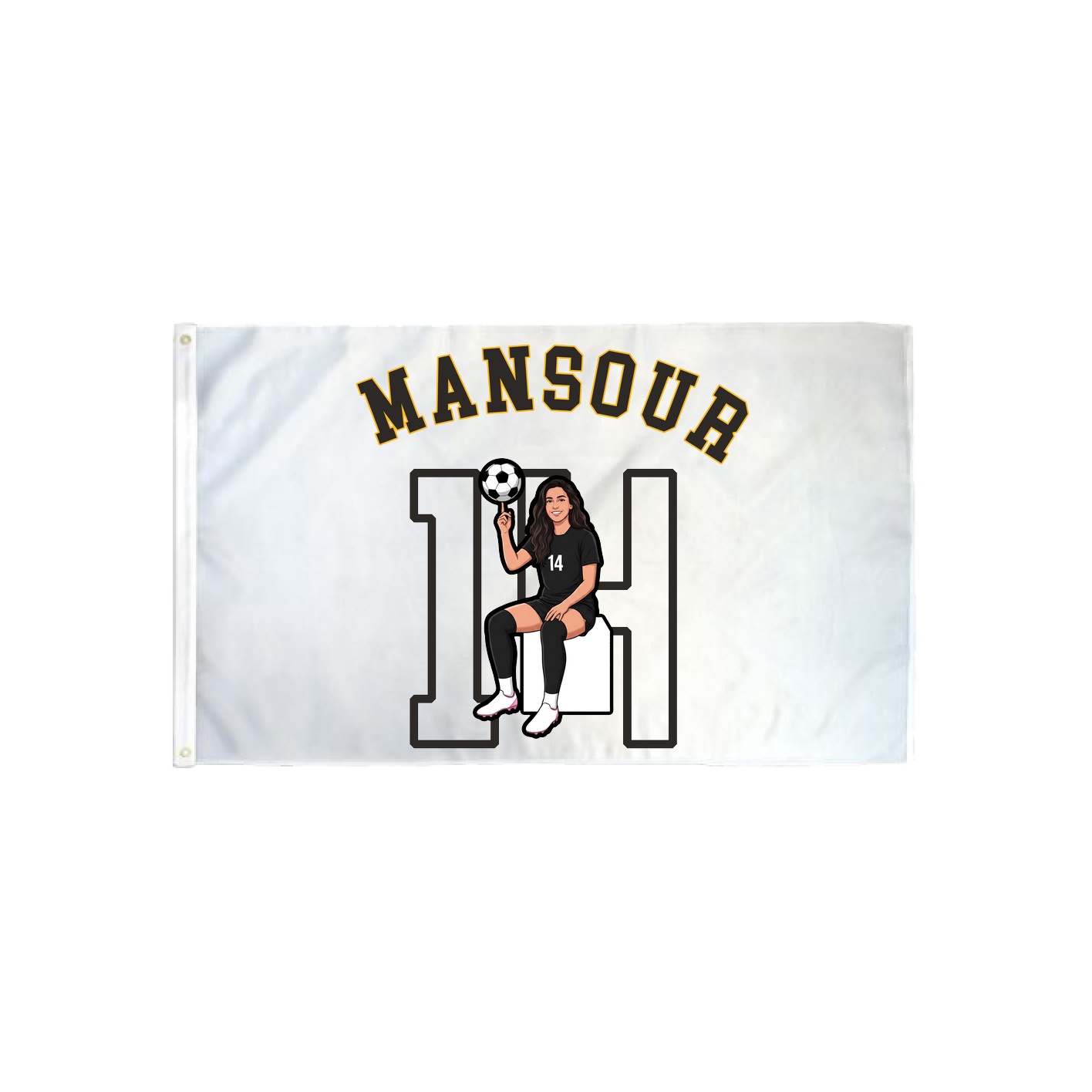 3x5 Flag — Shirsey Arch in Classic
