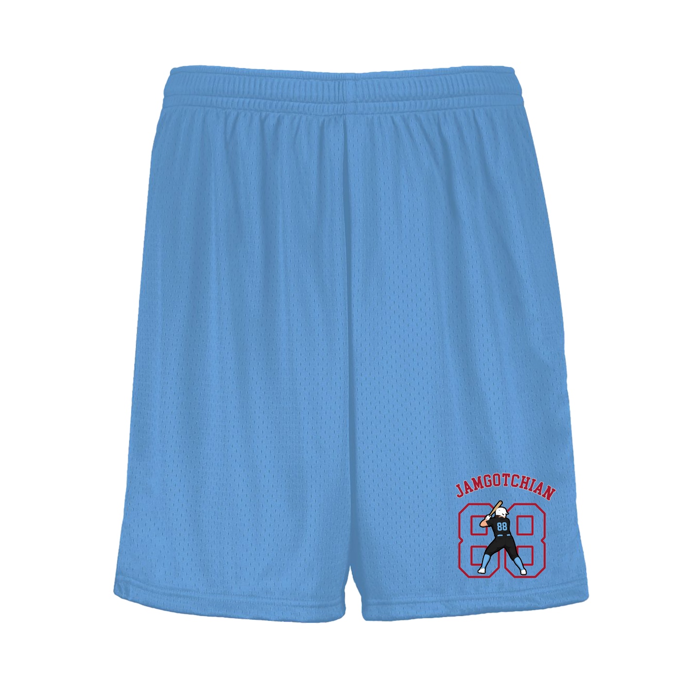 Shorts — Shirsey Arch in Light Blue