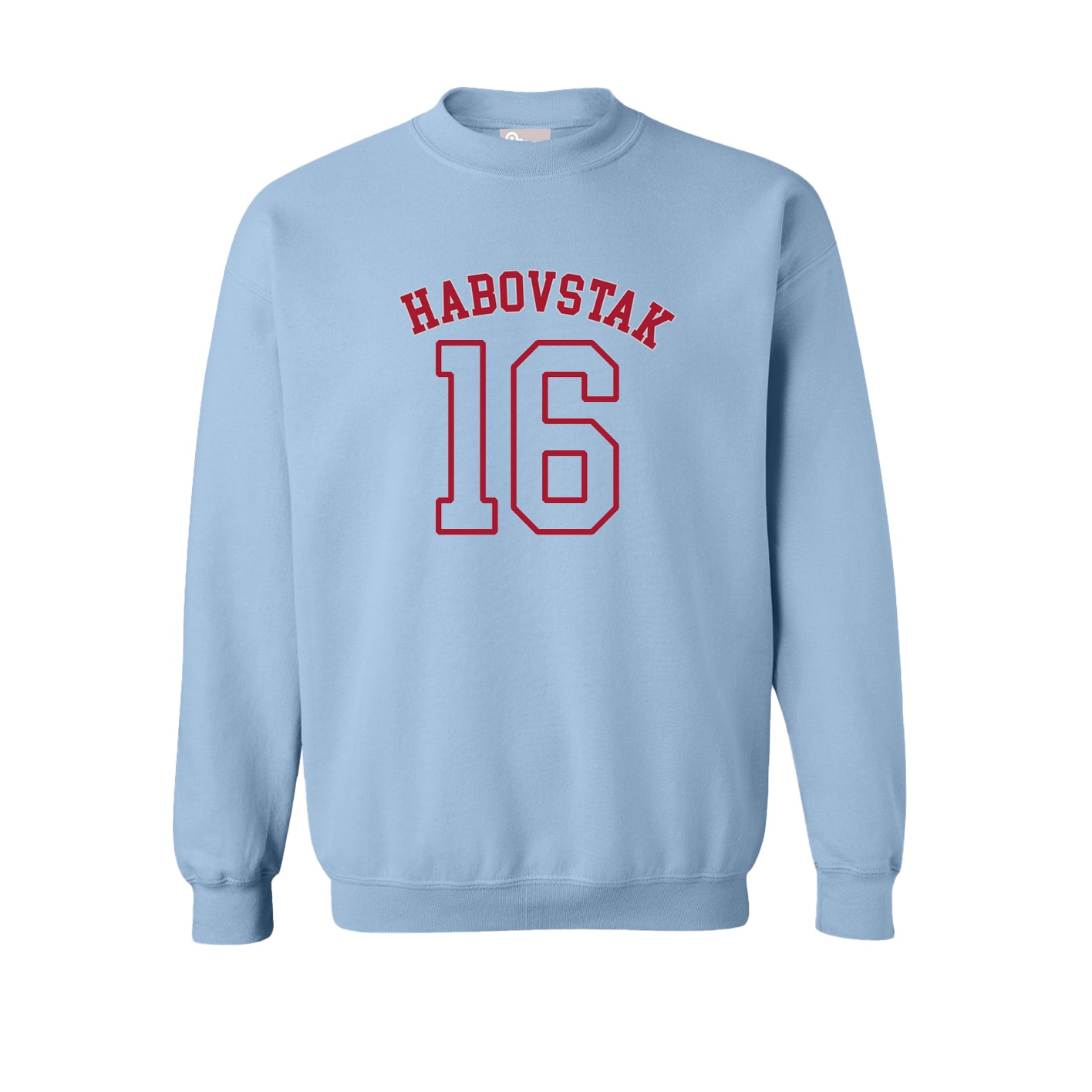 Fleece Crew — Shirsey Arch in Light Blue