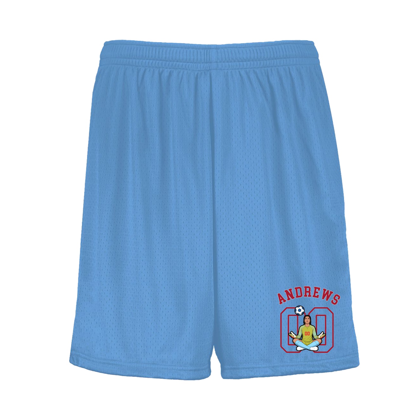 Shorts — Shirsey Arch in Light Blue