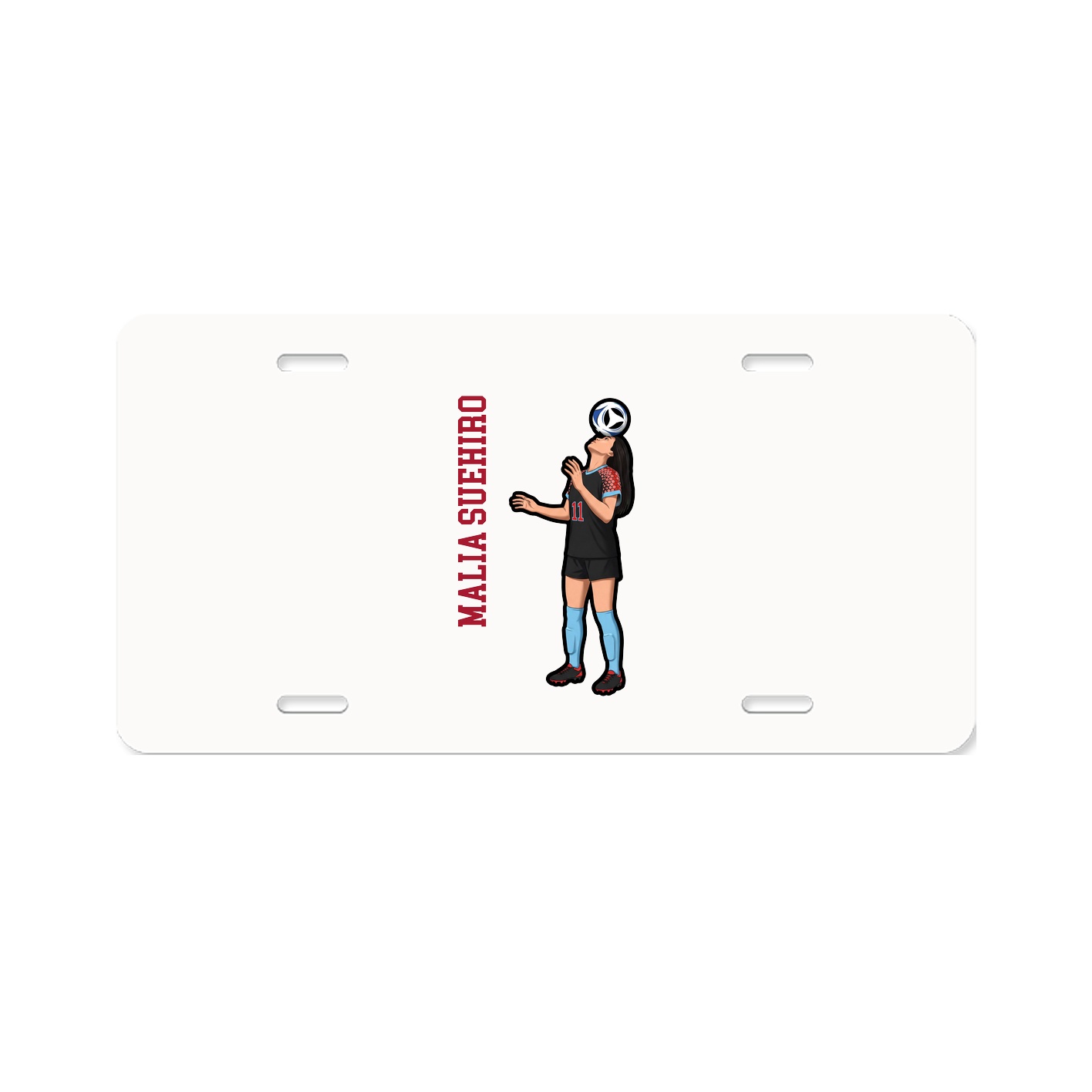 Aluminum License Plate
