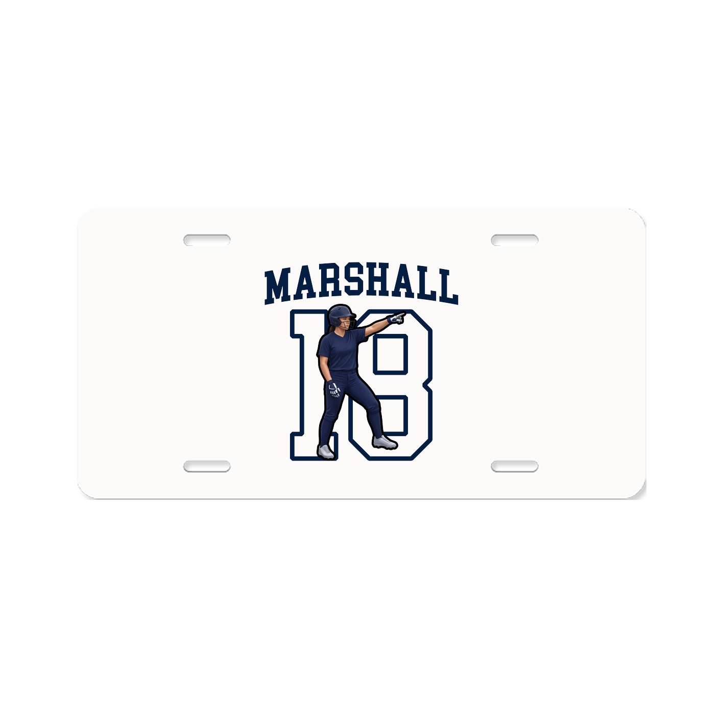 Aluminum License Plate