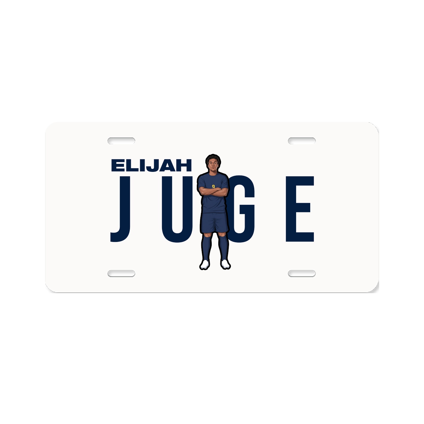 License Plate