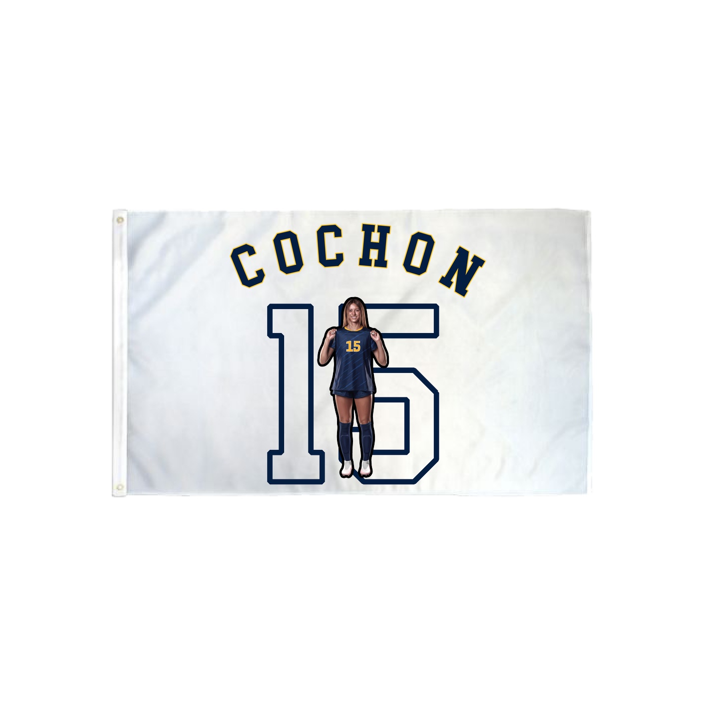 3x5 Flag — Shirsey Arch in Classic
