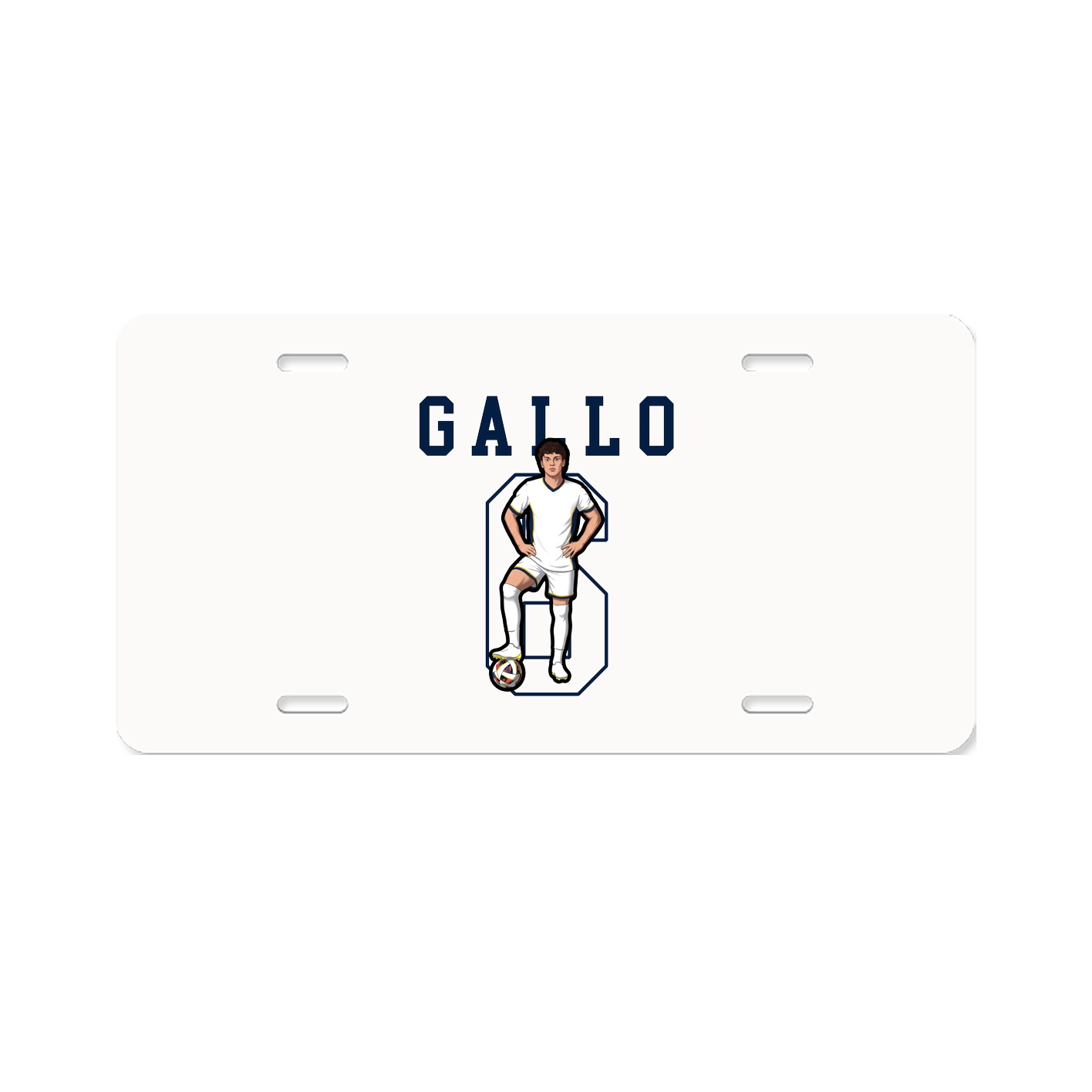 License Plate