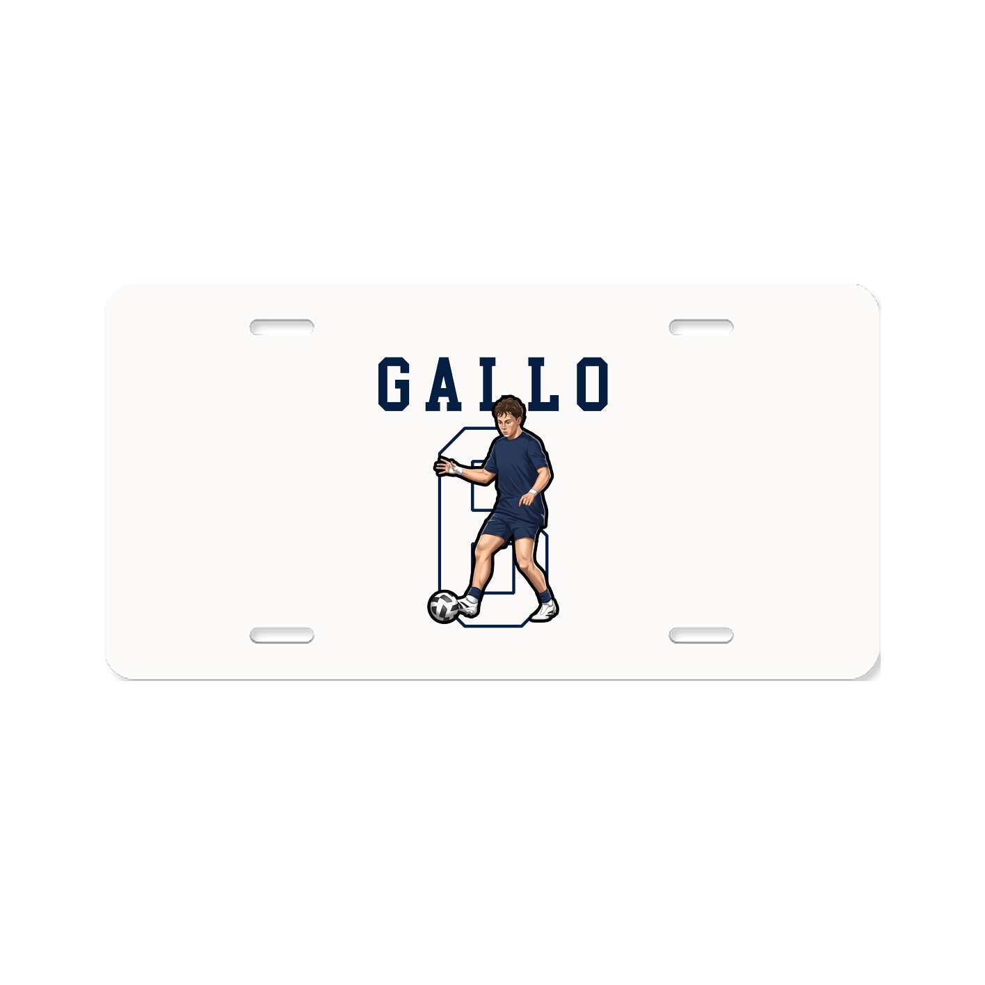 License Plate