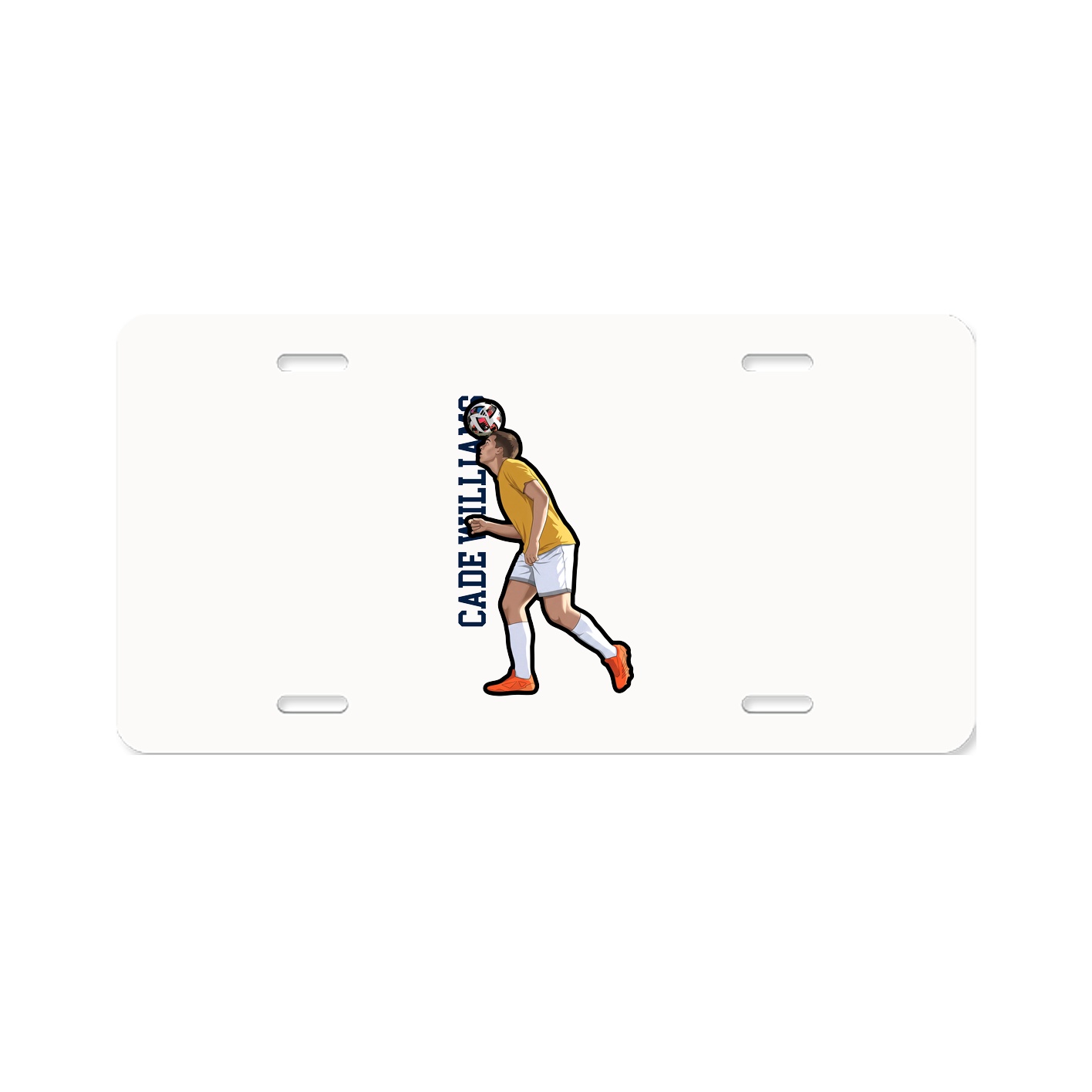 Aluminum License Plate