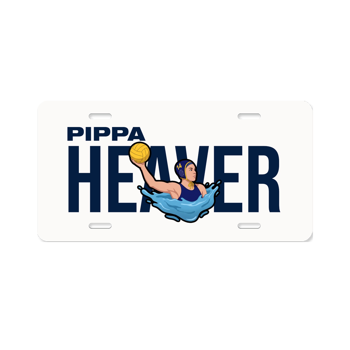 License Plate