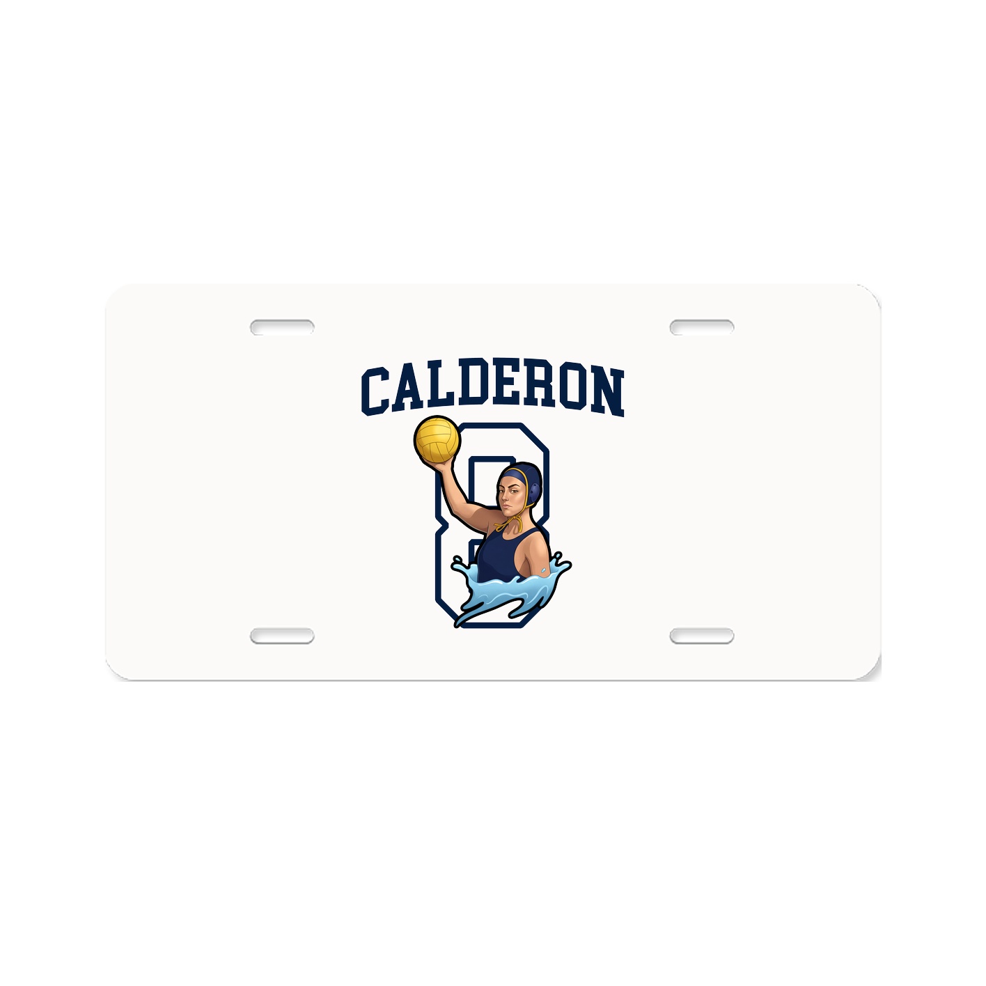 License Plate