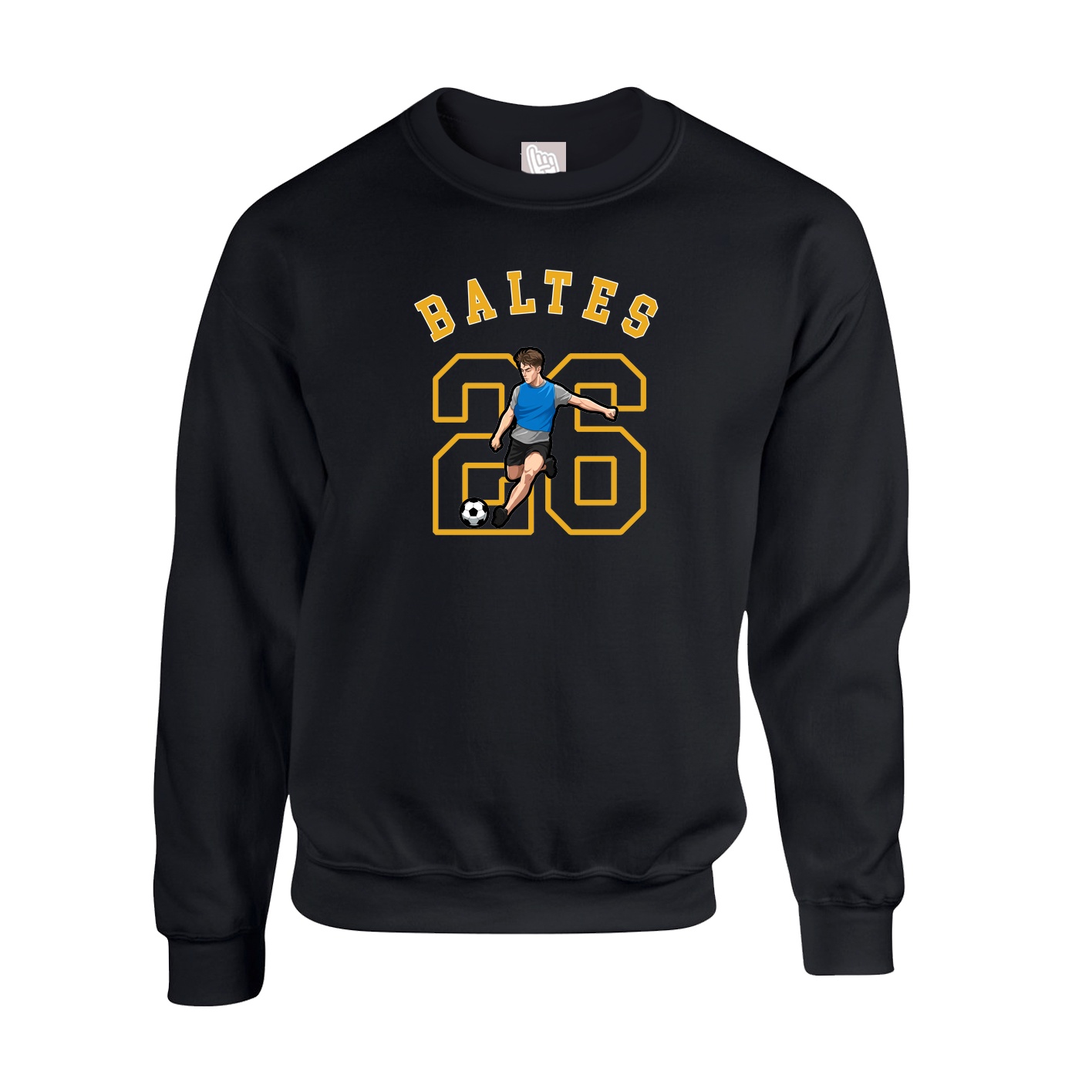 Fleece Crew — Shirsey Arch in Black