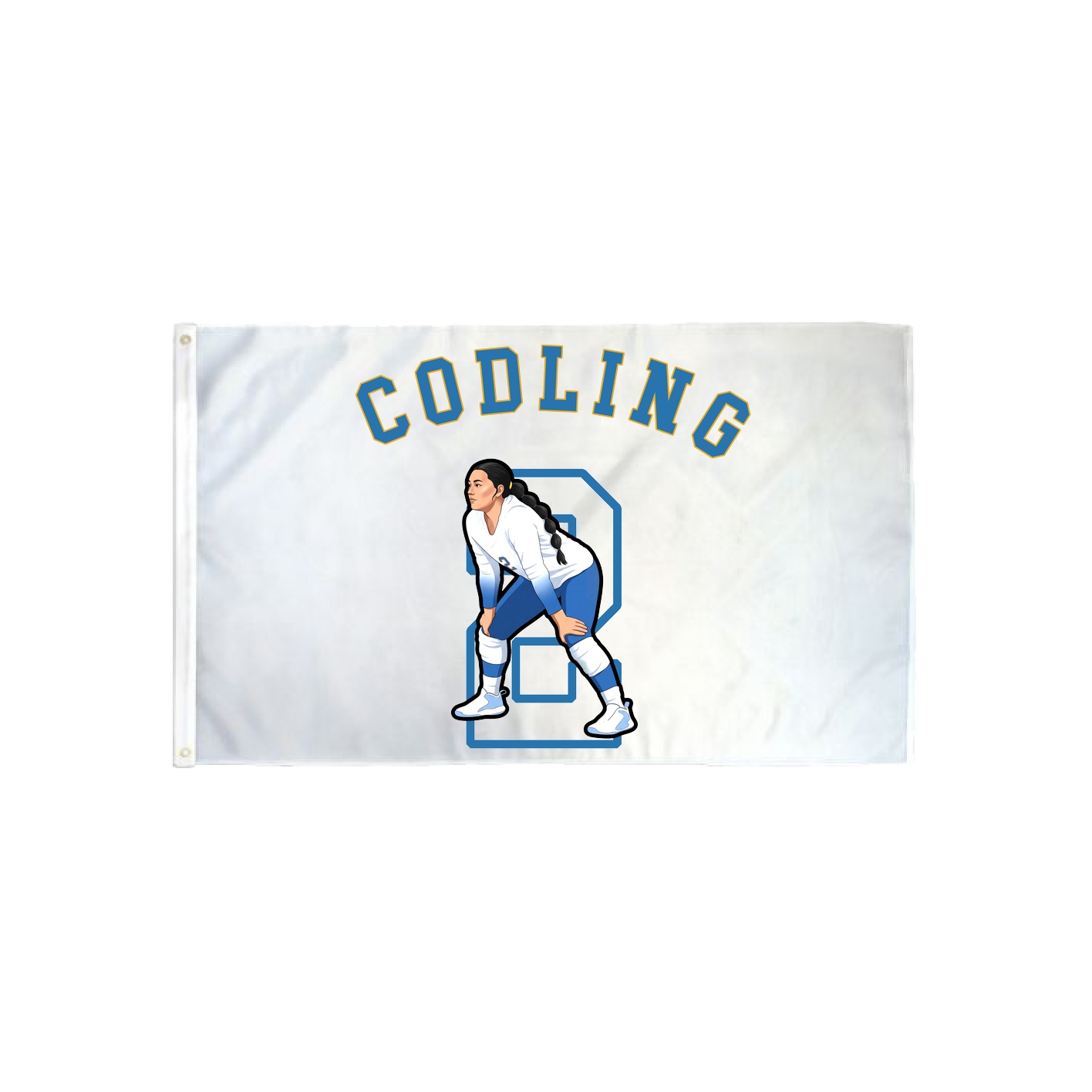 3x5 Flag — Shirsey Arch in Classic