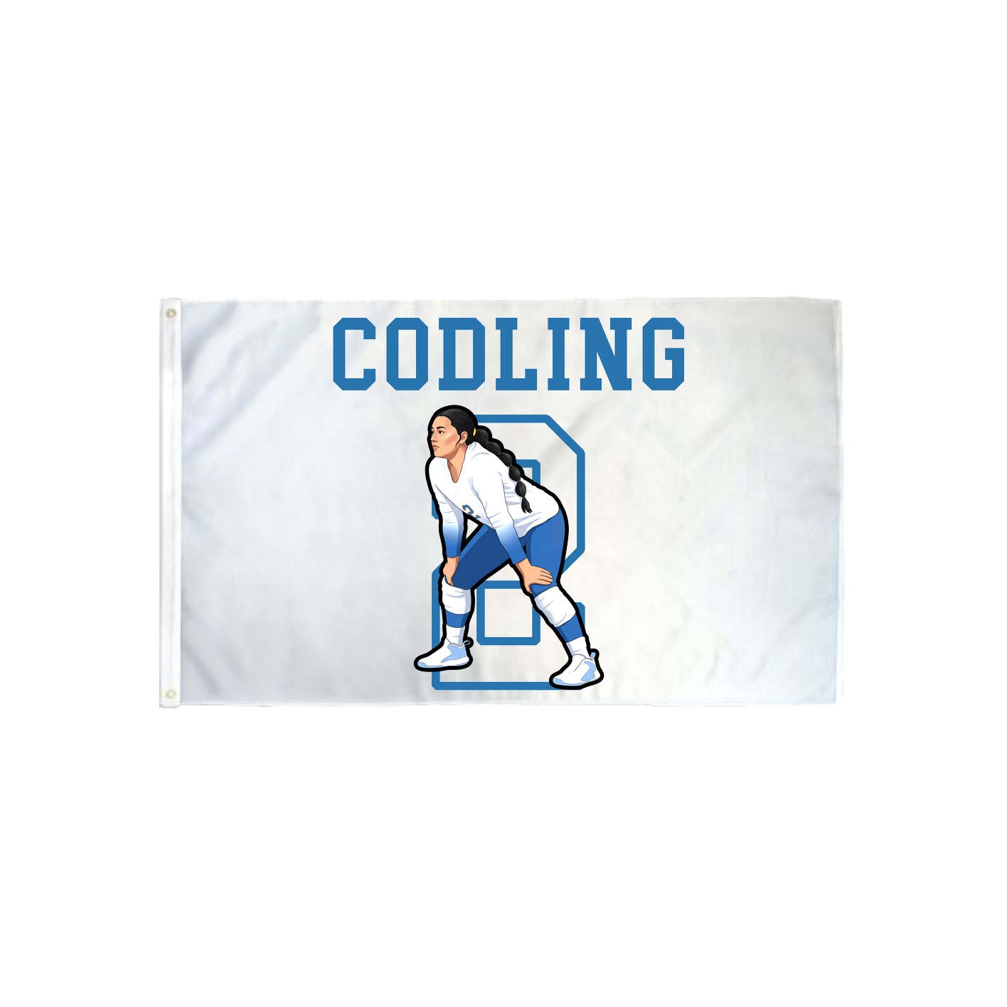 3x5 Flag — Shirsey in Classic