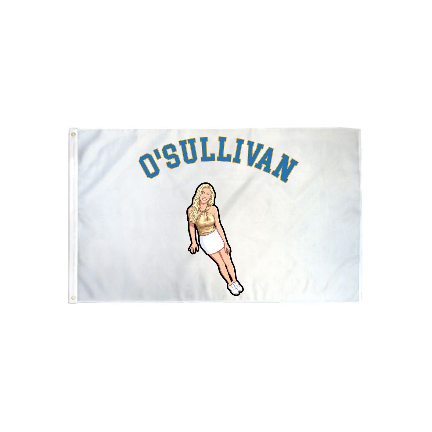 3x5 Flag — Shirsey Arch in Classic