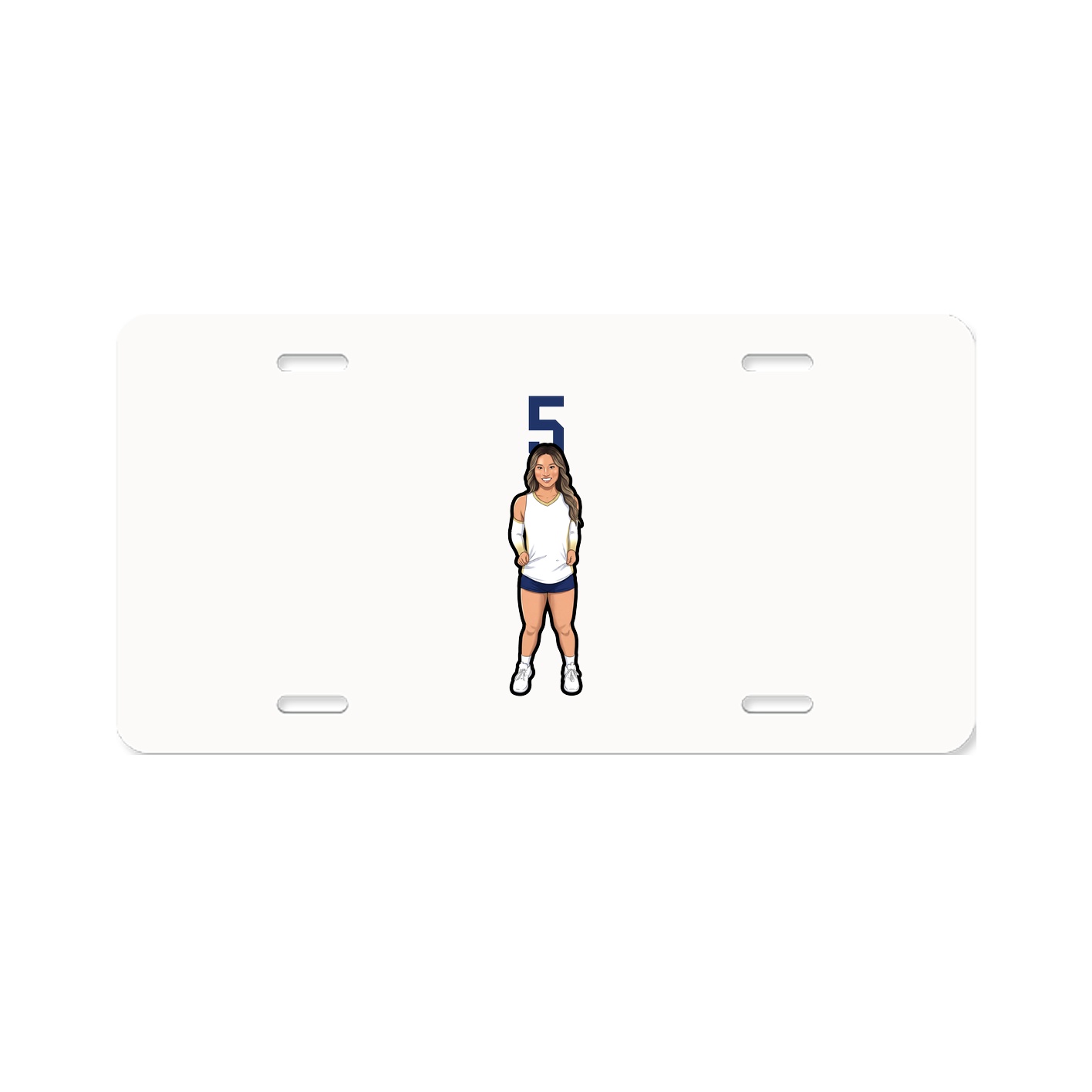 Aluminum License Plate