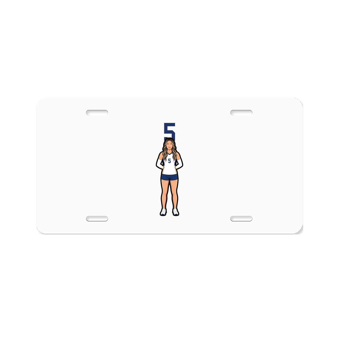 Aluminum License Plate