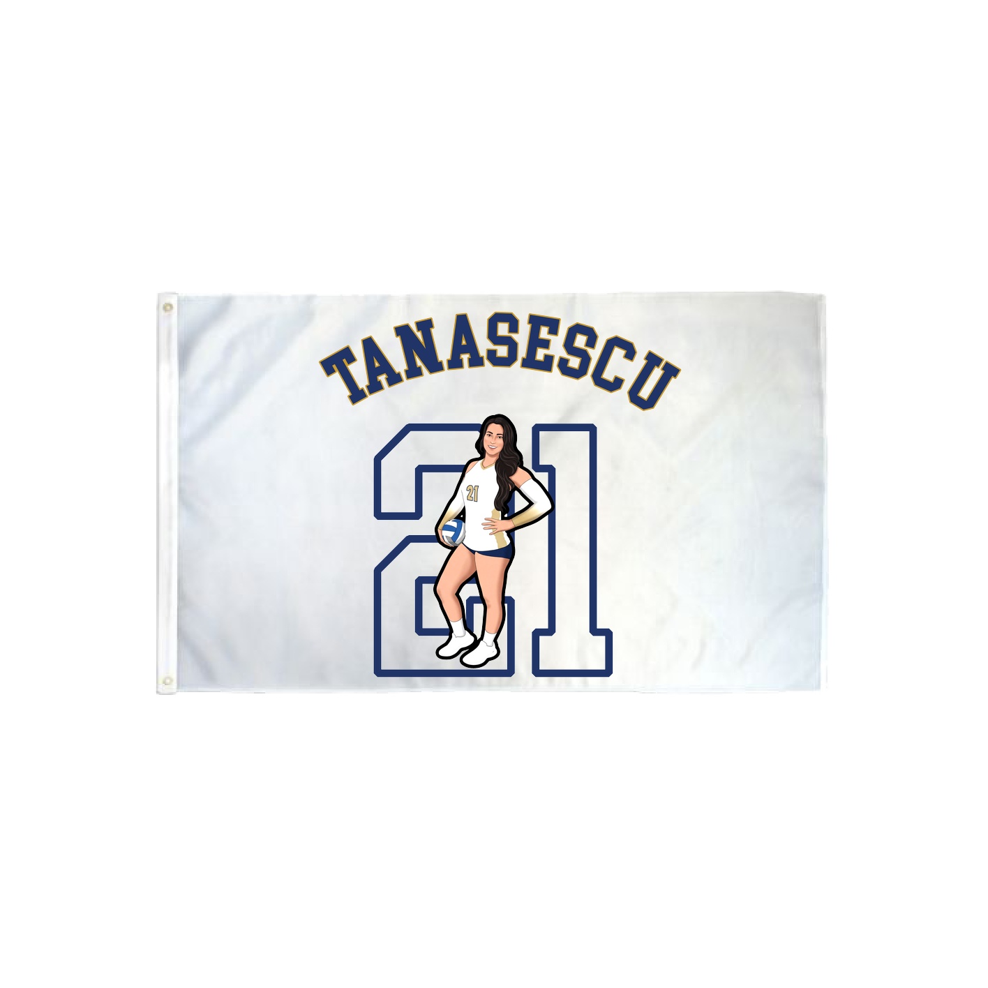 3x5 Flag — Shirsey Arch in Classic