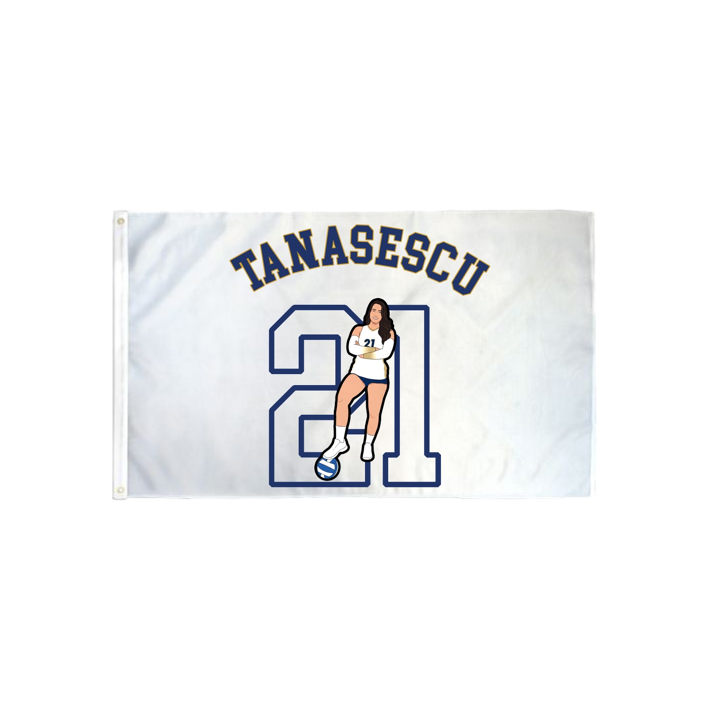 3x5 Flag — Shirsey Arch in Classic