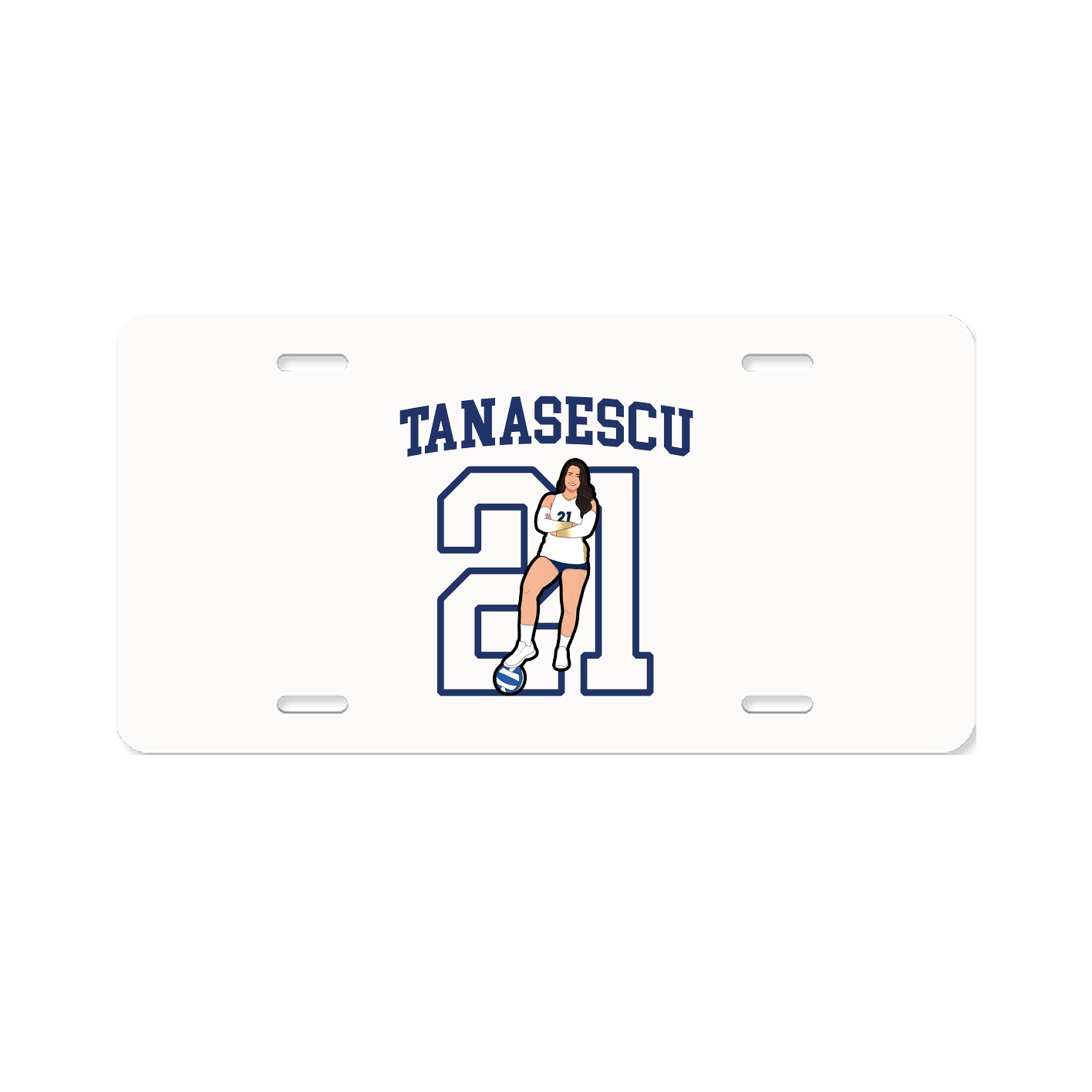 Aluminum License Plate