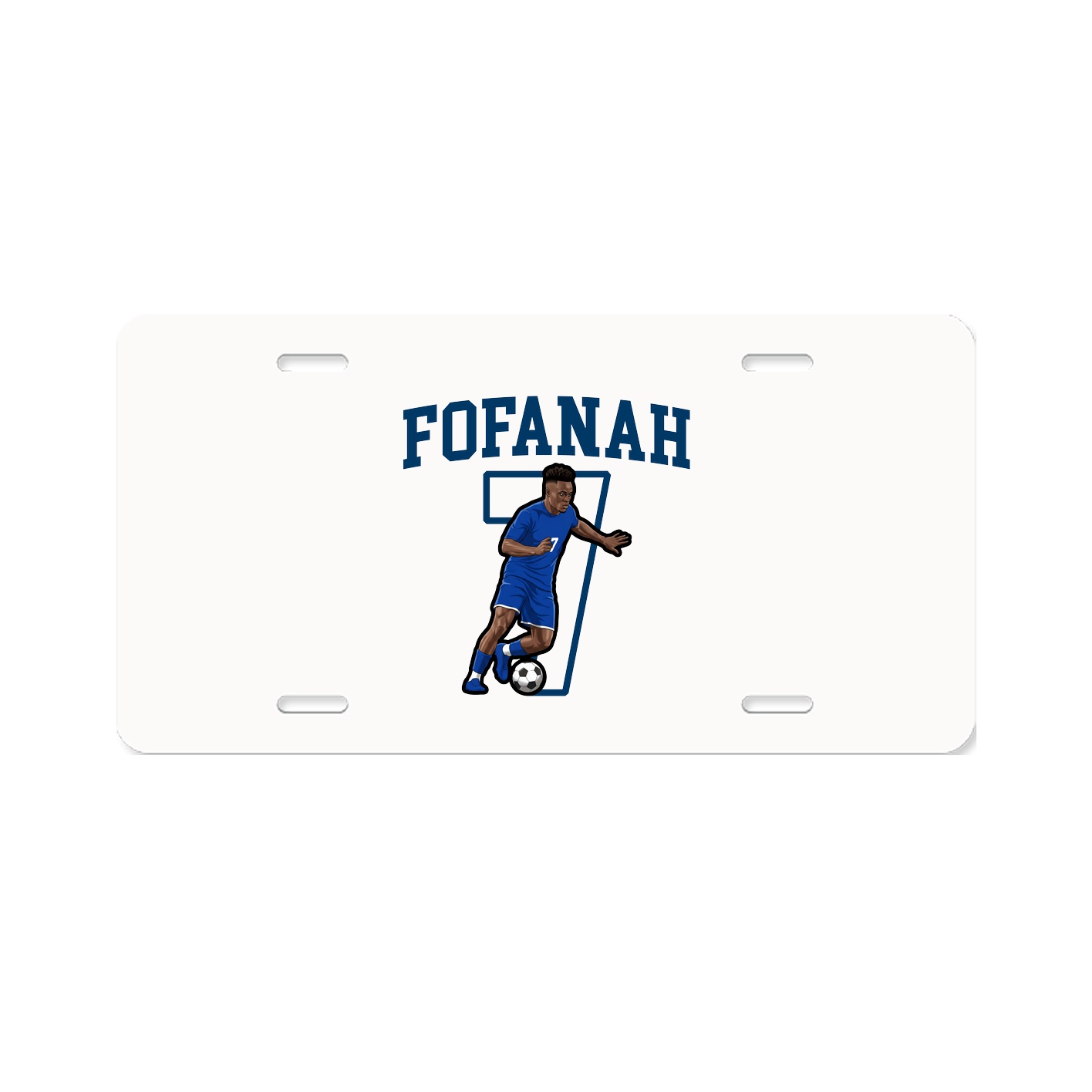 Aluminum License Plate
