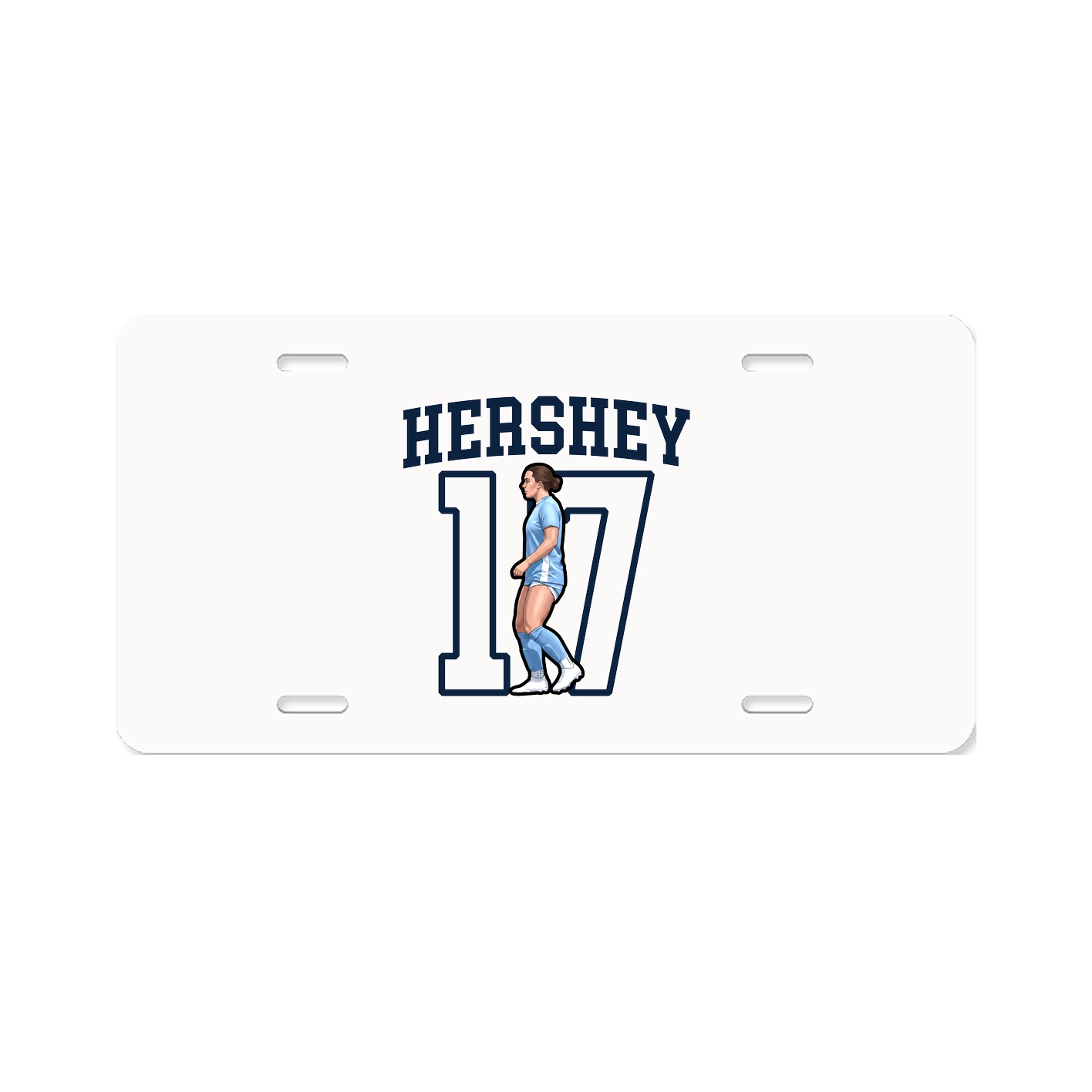 Aluminum License Plate
