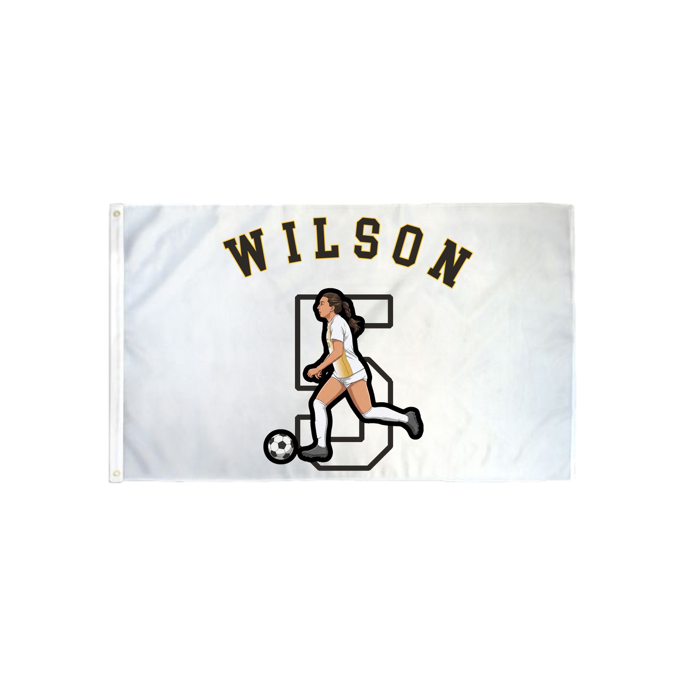 3x5 Flag — Shirsey Arch in Classic
