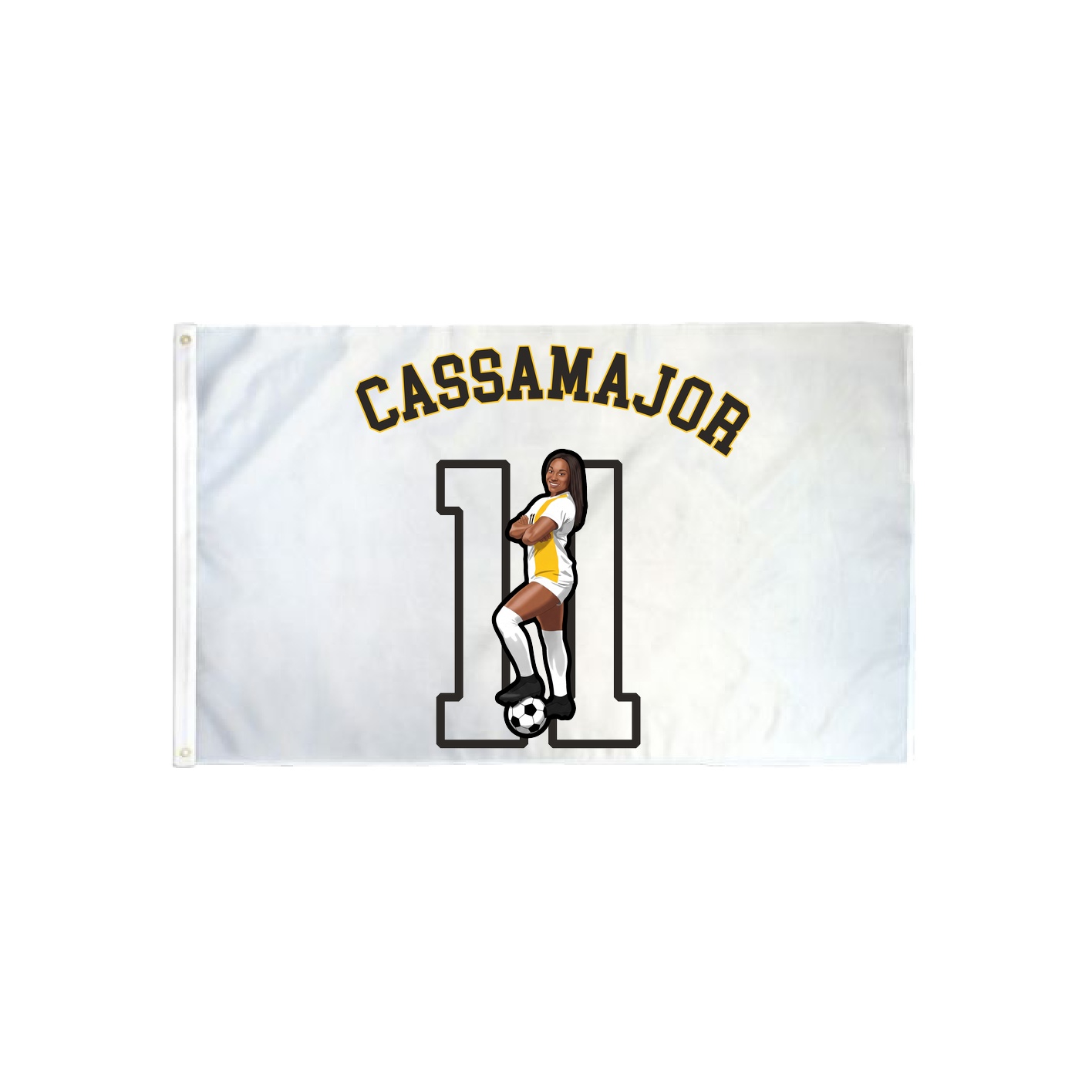 3x5 Flag — Shirsey Arch in Classic