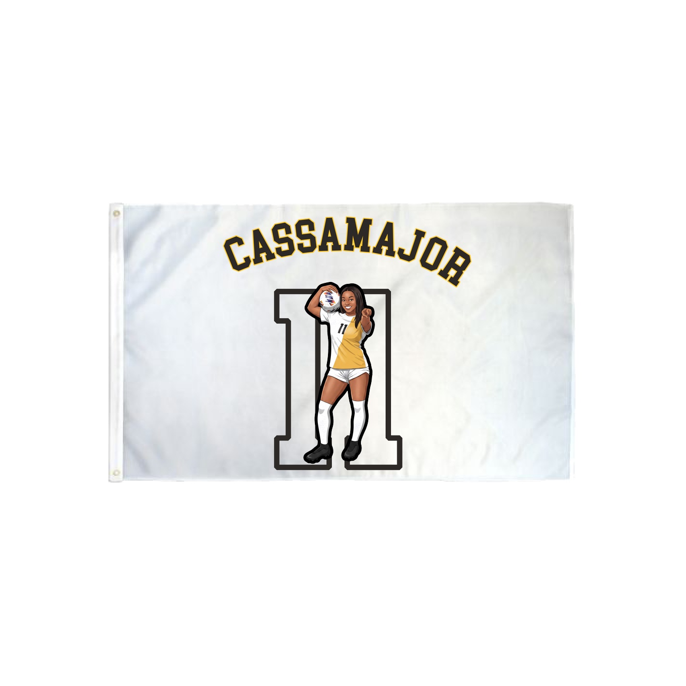 3x5 Flag — Shirsey Arch in Classic