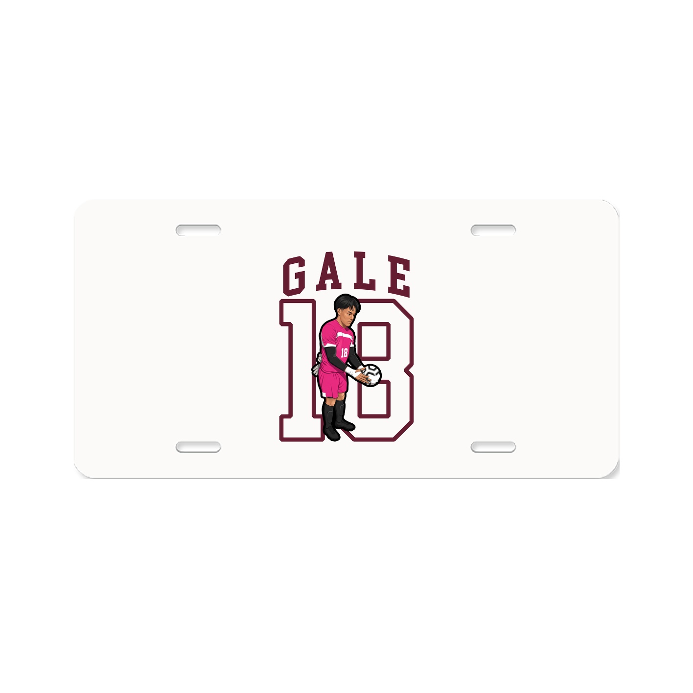 Aluminum License Plate