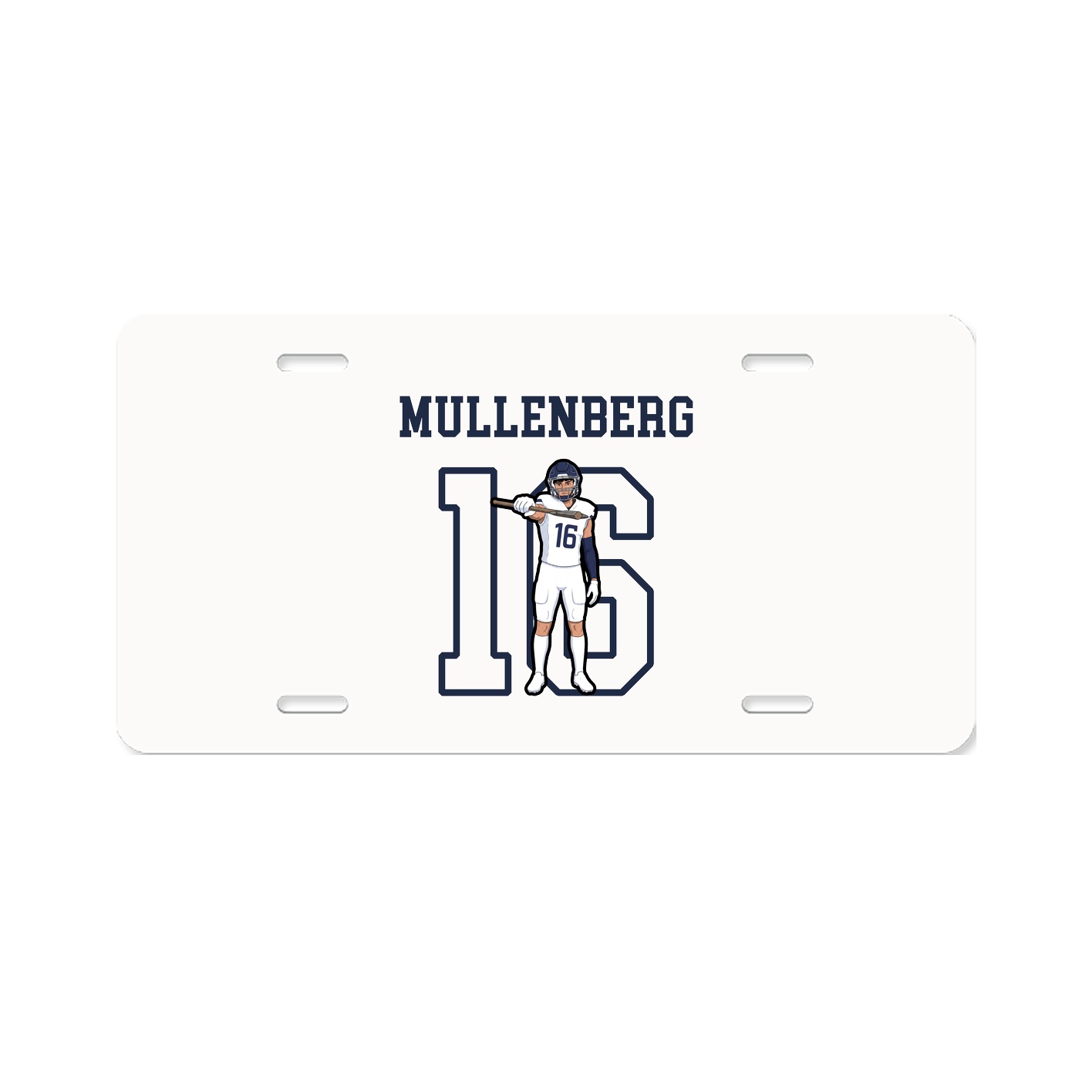 Aluminum License Plate