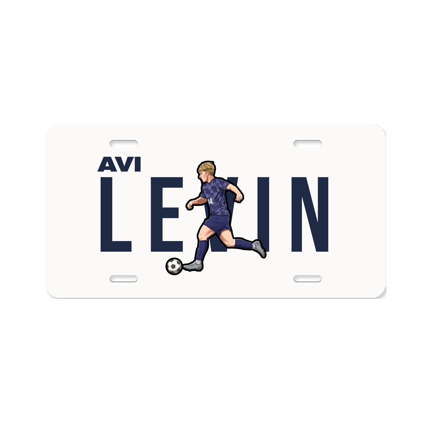 License Plate