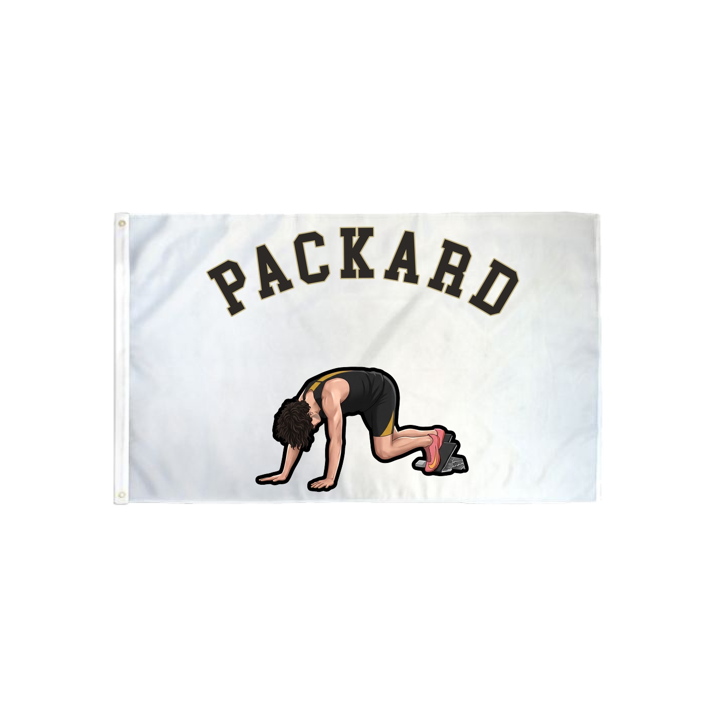 3x5 Flag — Shirsey Arch in Classic