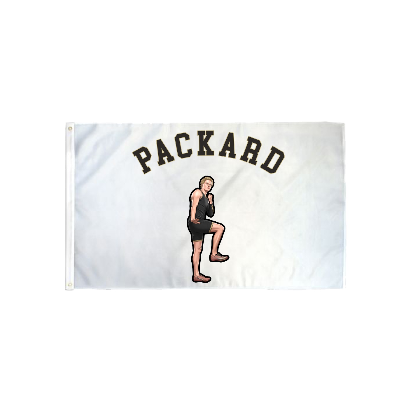 3x5 Flag — Shirsey Arch in Classic