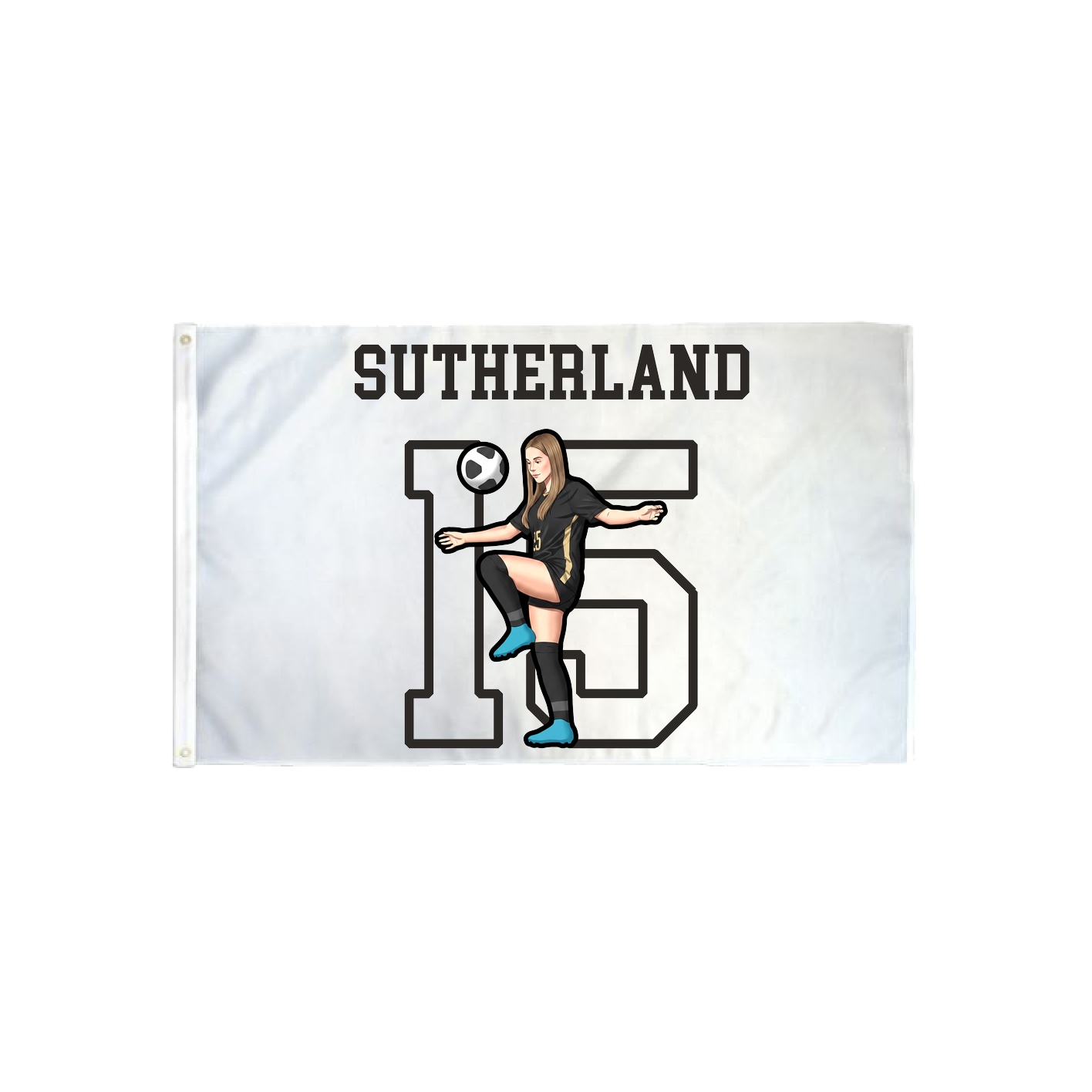 3x5 Flag — Shirsey in Classic