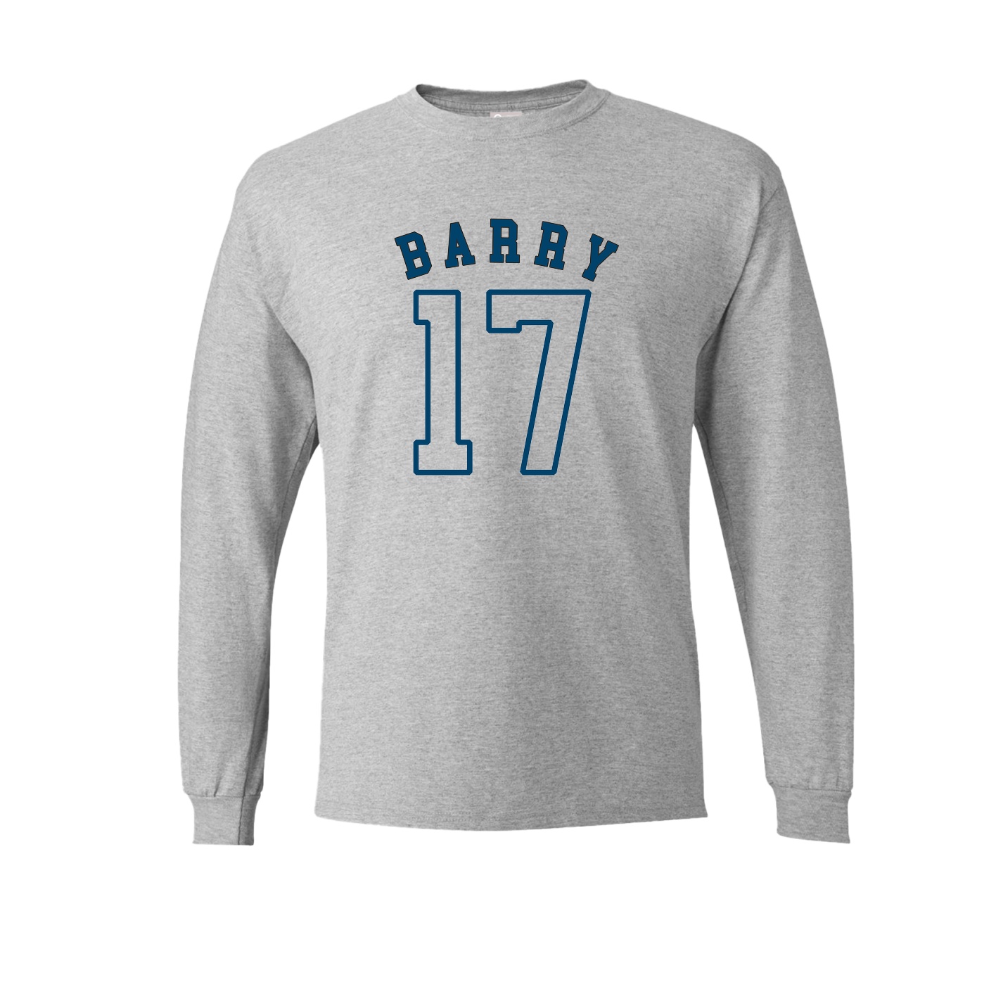 Long Sleeve Tee — Shirsey Arch in Grey