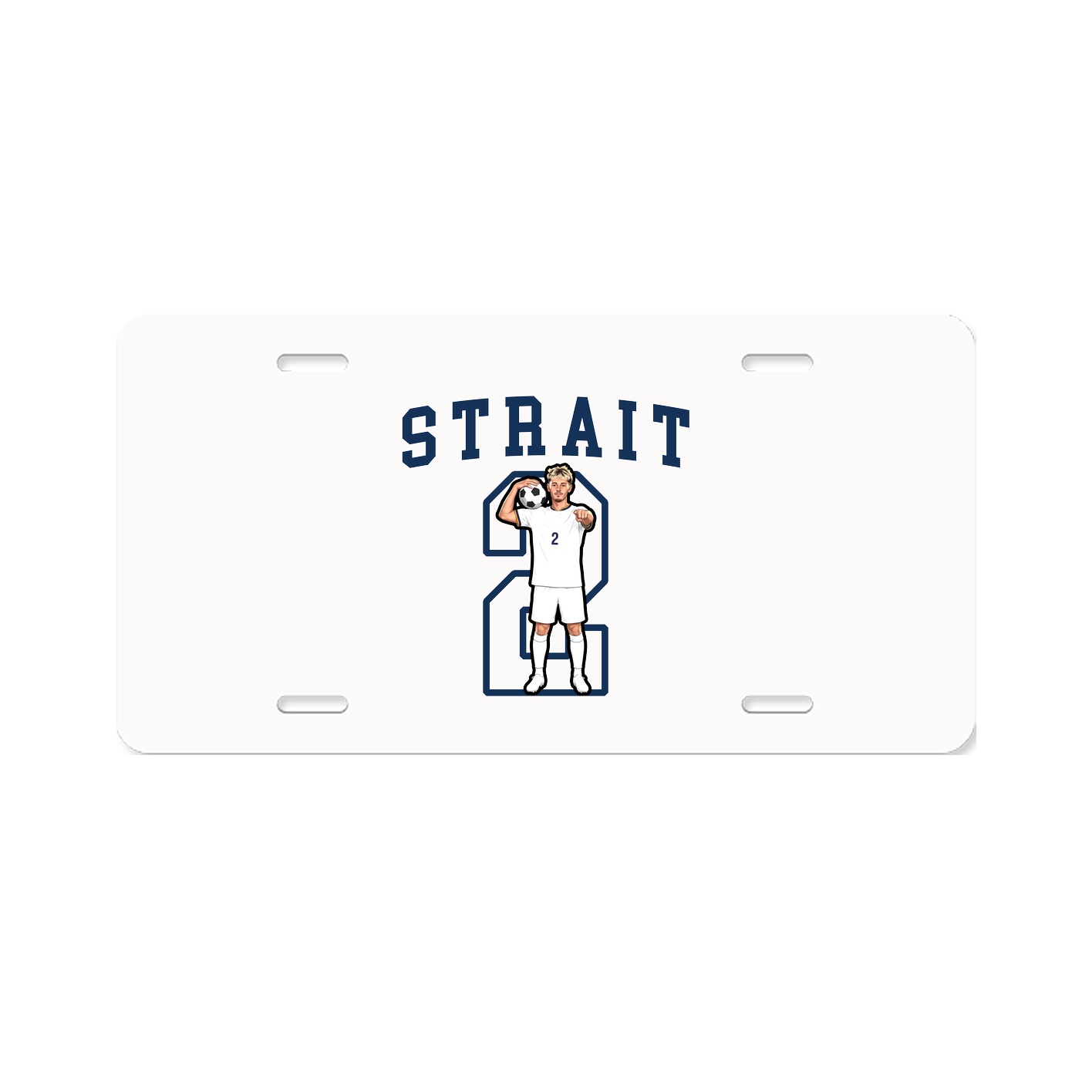 Aluminum License Plate