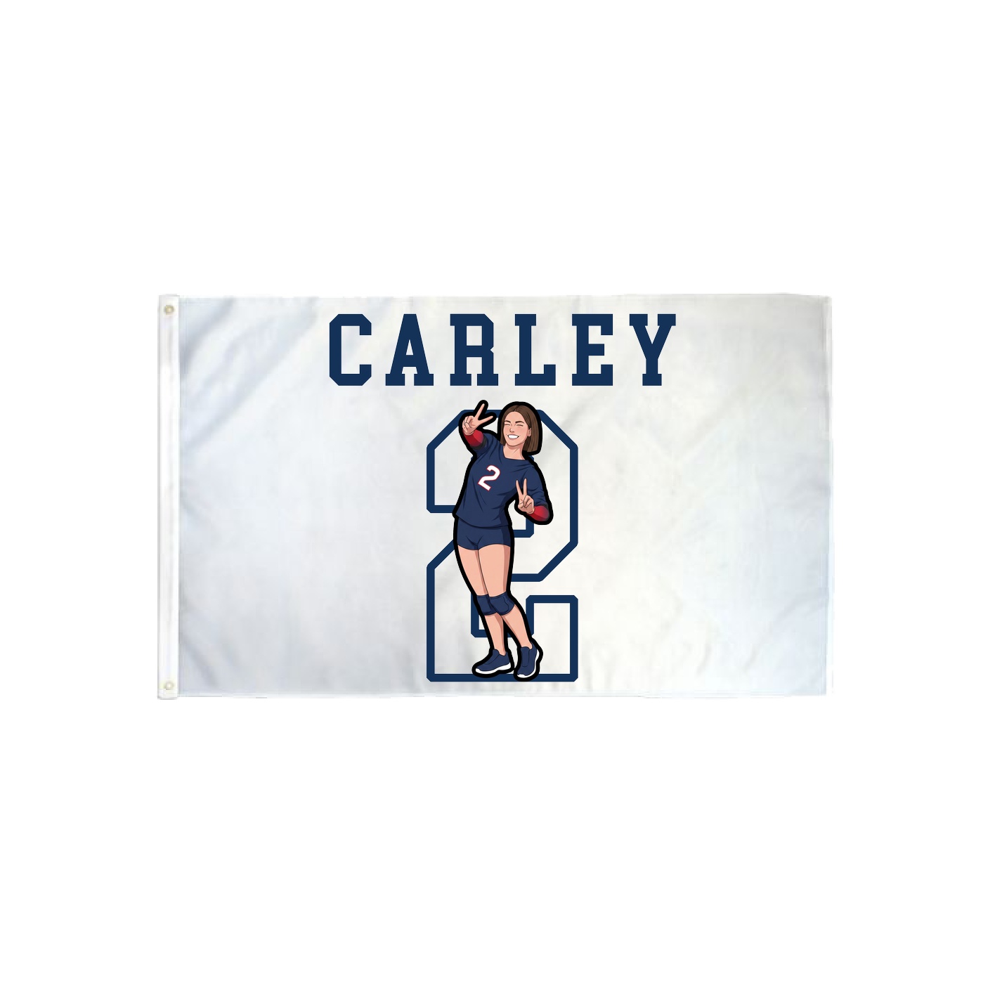 3x5 Flag — Shirsey in Classic
