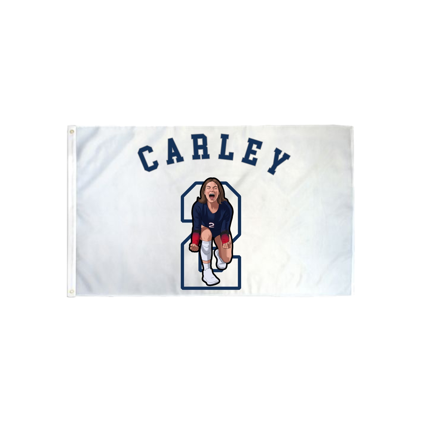 3x5 Flag — Shirsey Arch in Classic