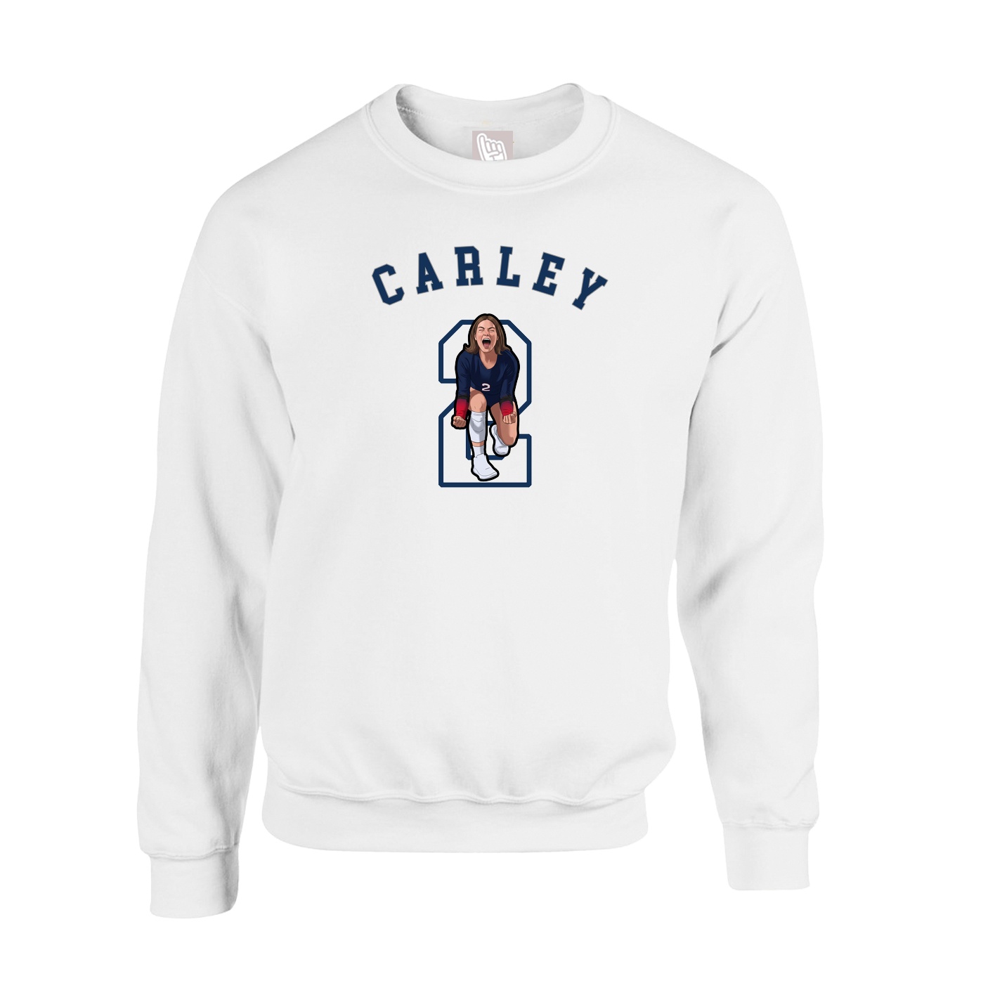 Fleece Crew — Shirsey Arch in White