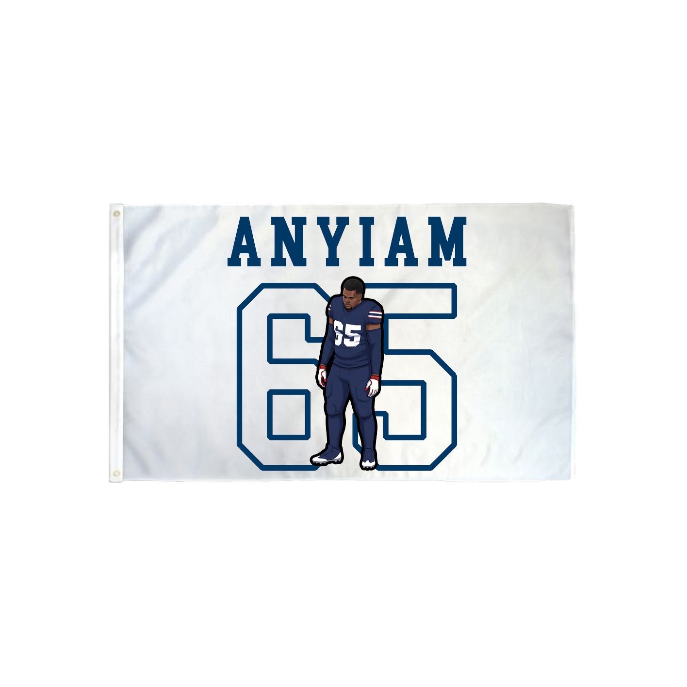3x5 Flag — Shirsey in Classic