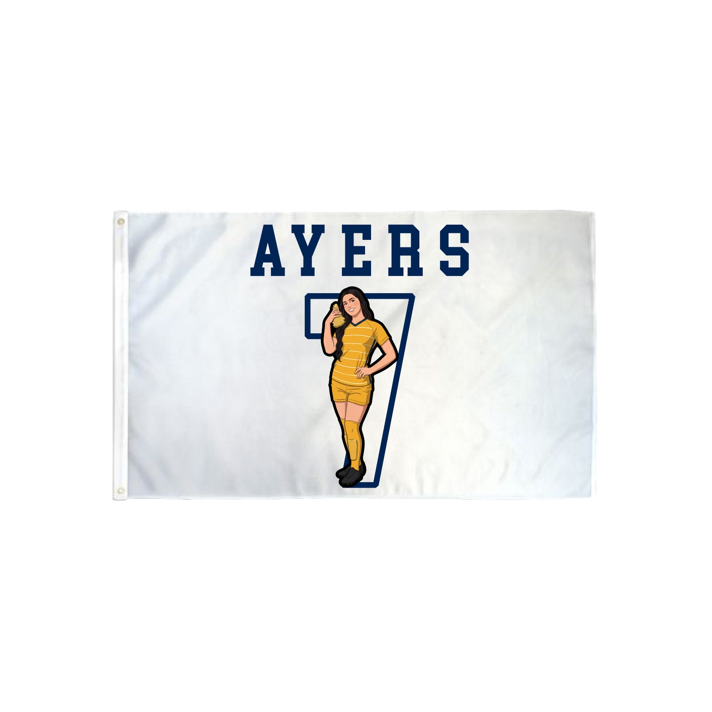 3x5 Flag — Shirsey in Classic