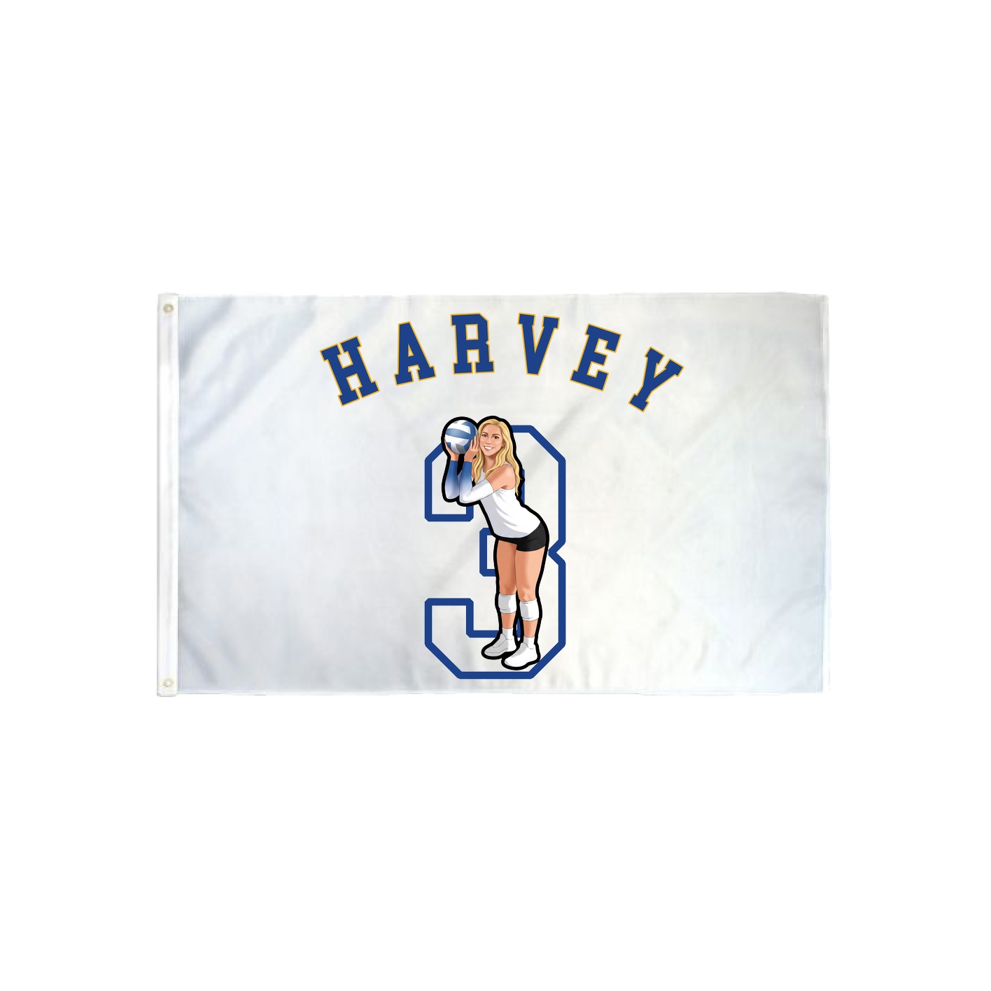 3x5 Flag — Shirsey Arch in Classic