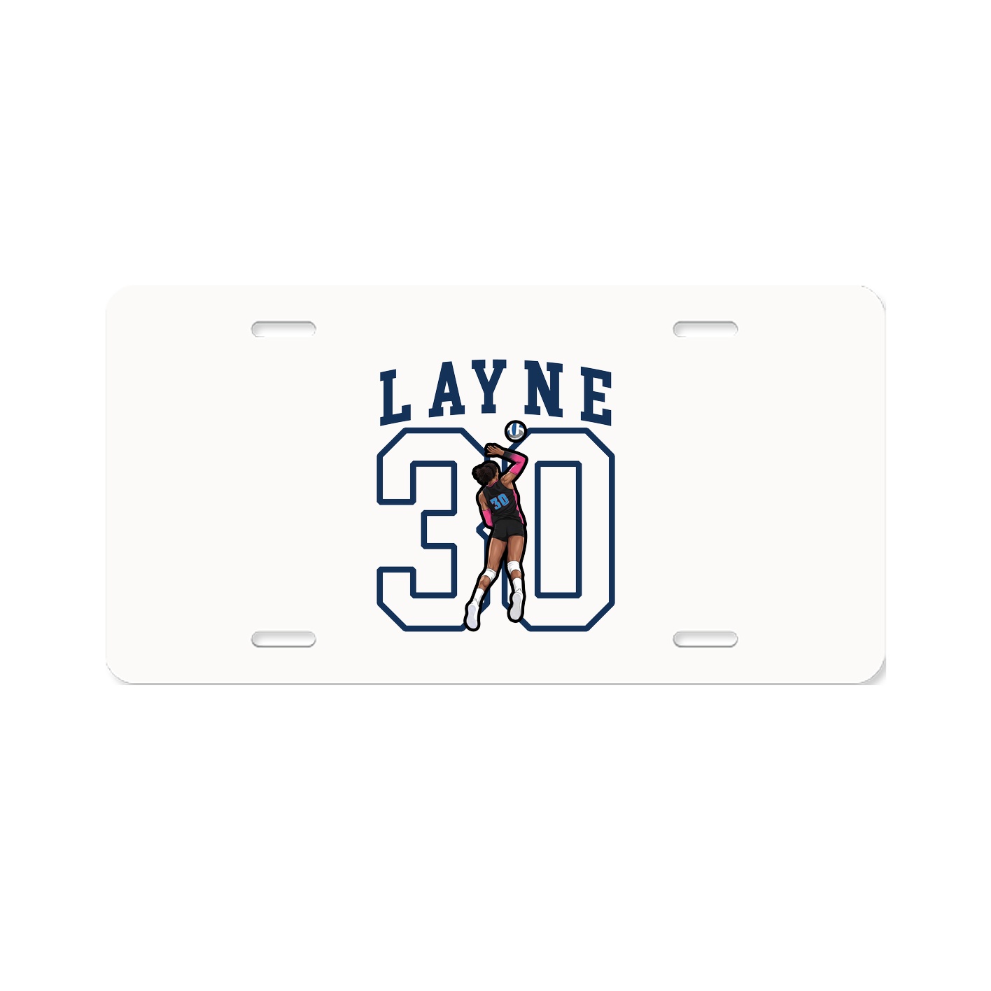 Aluminum License Plate