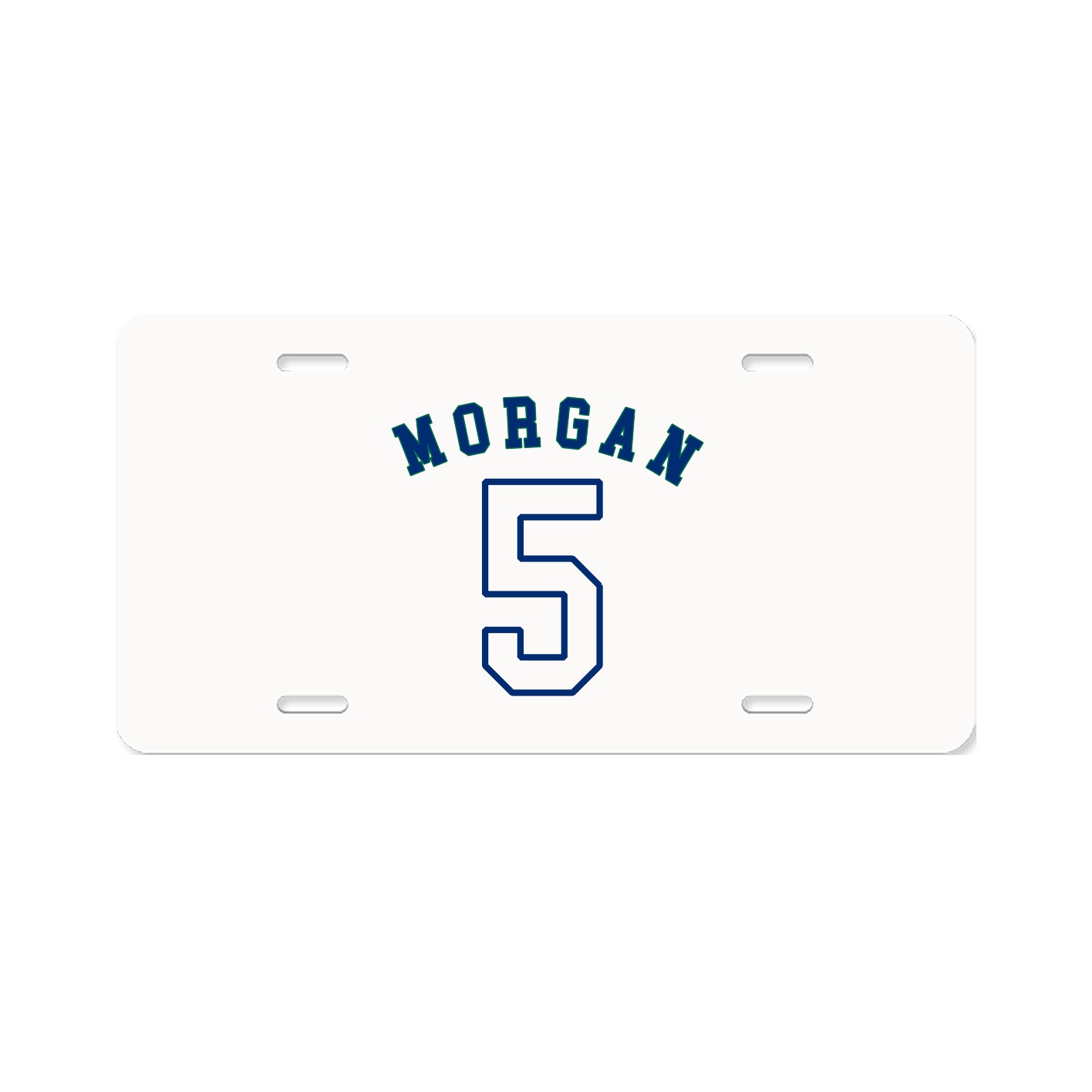 License Plate