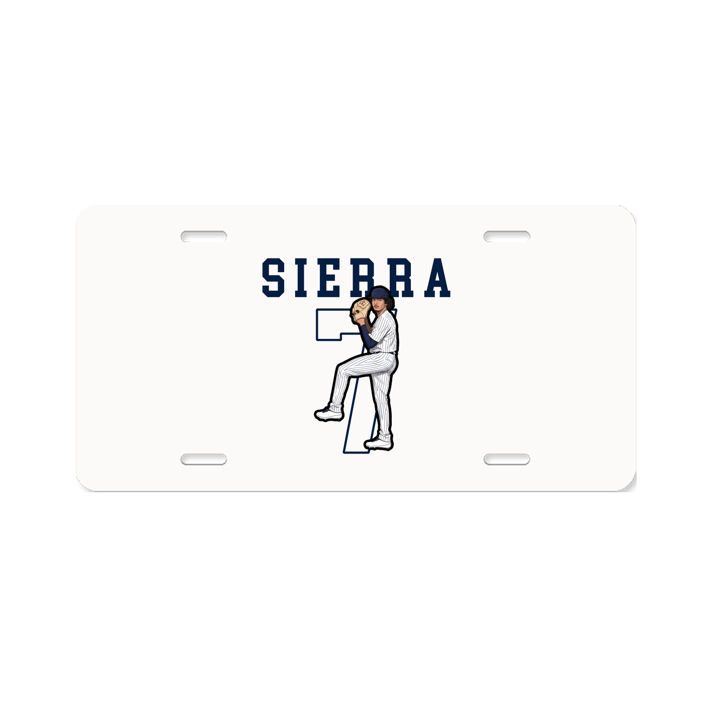 License Plate