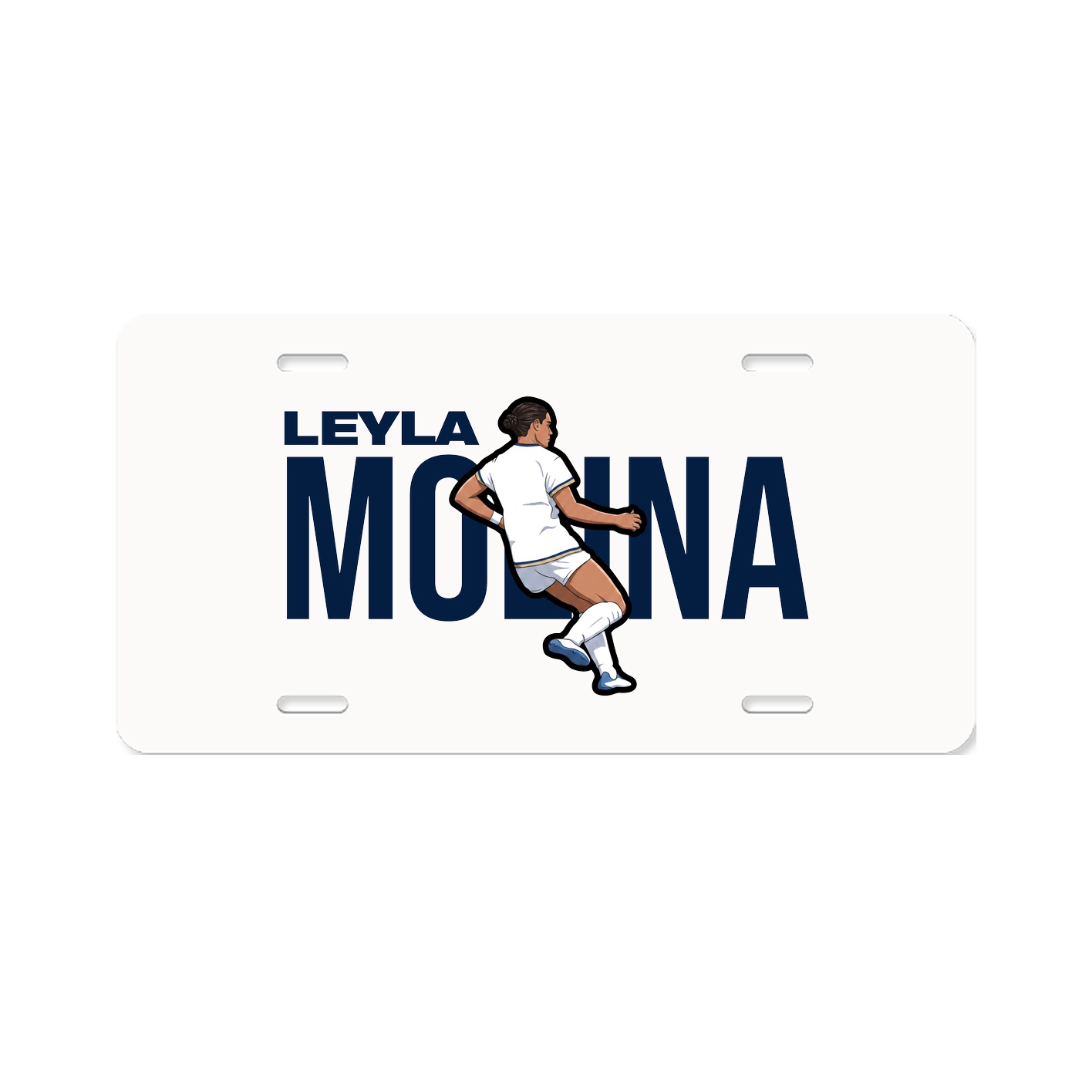License Plate