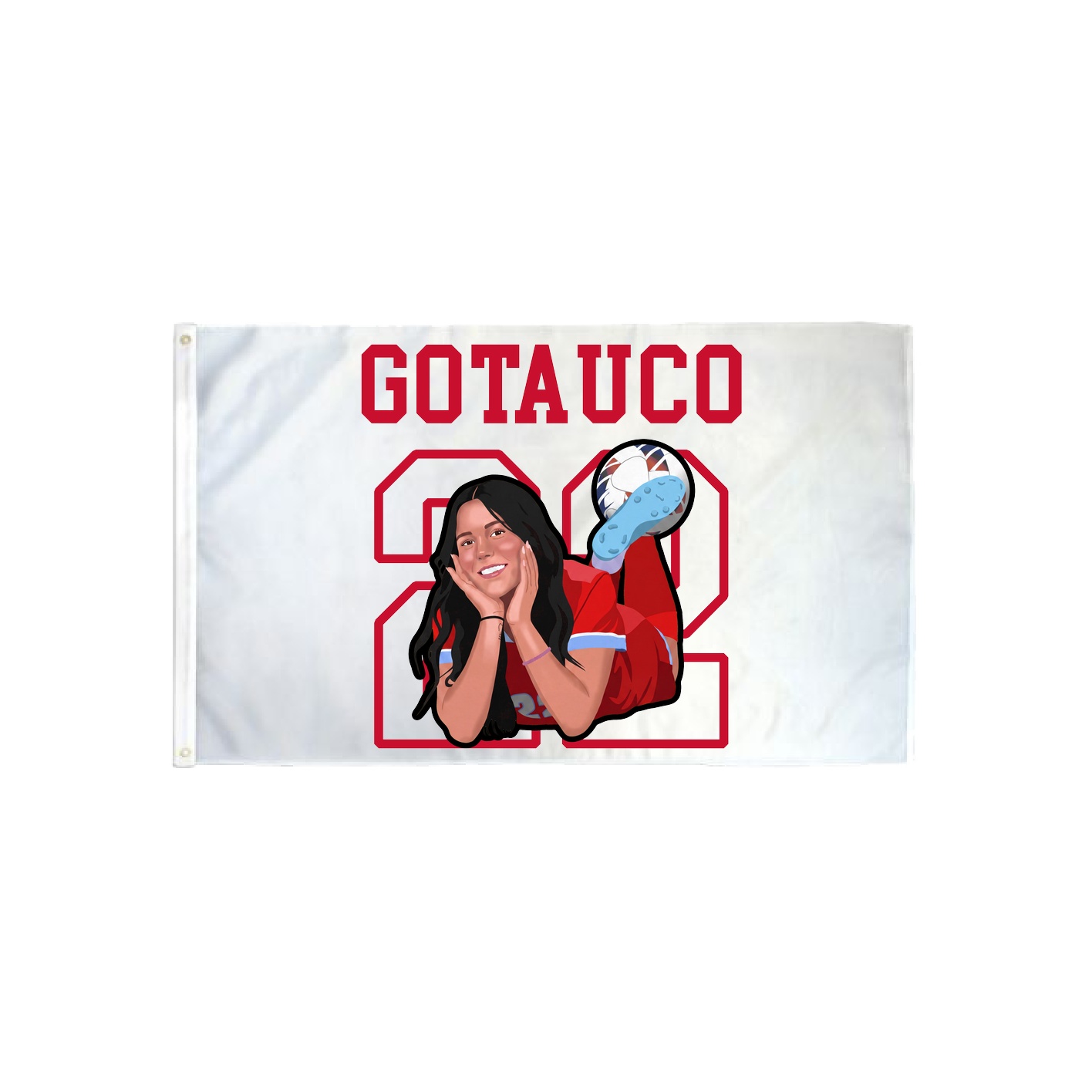 3x5 Flag — Shirsey in Classic