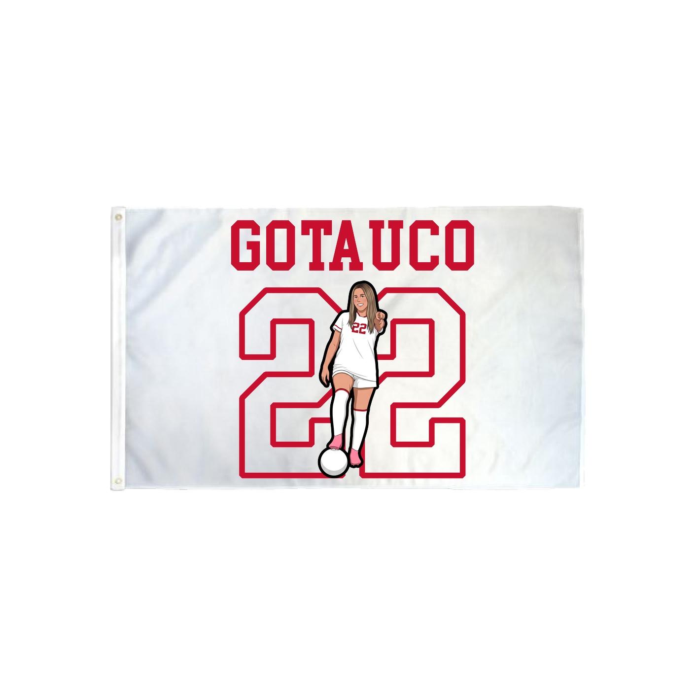 3x5 Flag — Shirsey in Classic